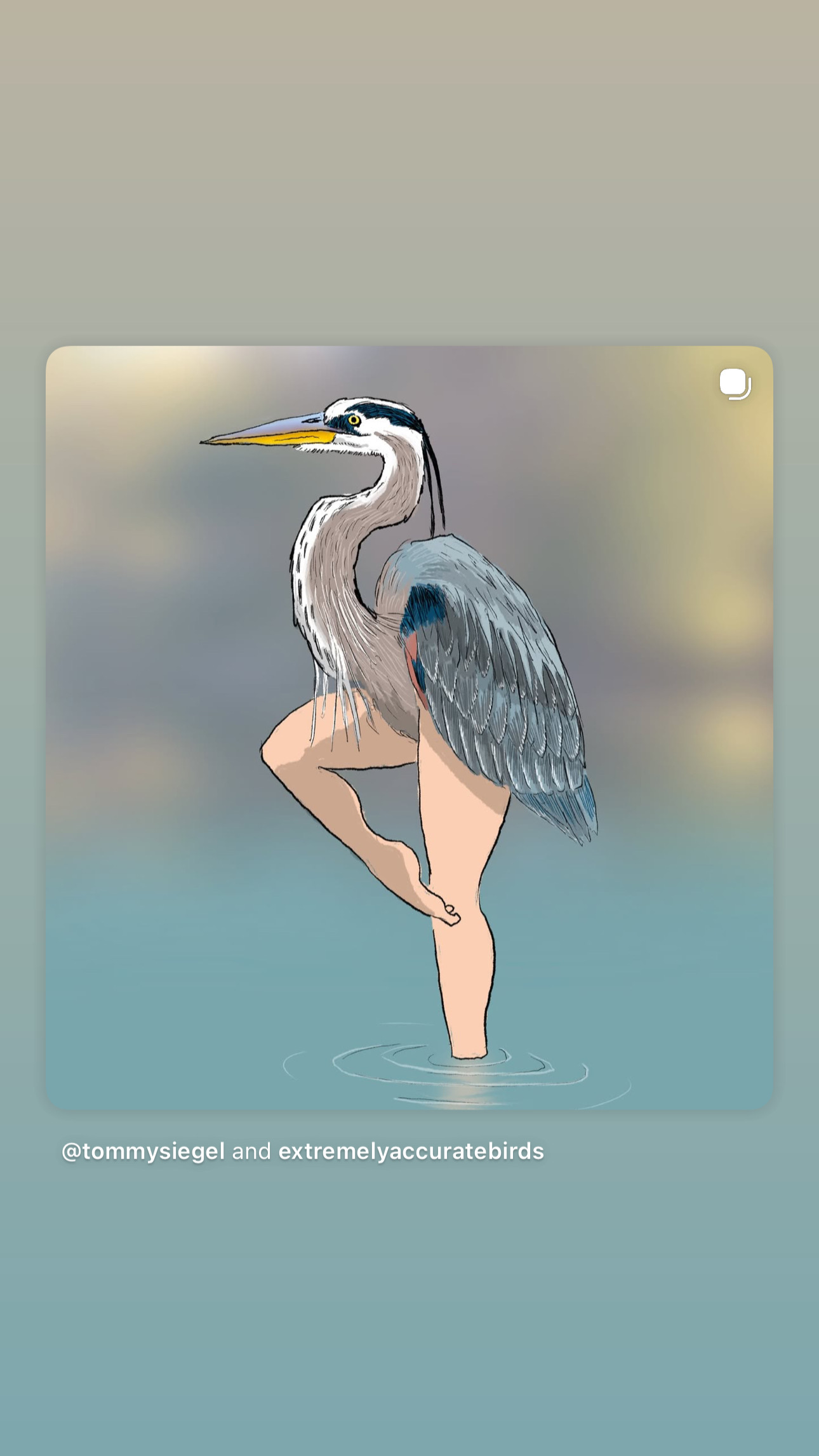 user avatar image for Jamezilla