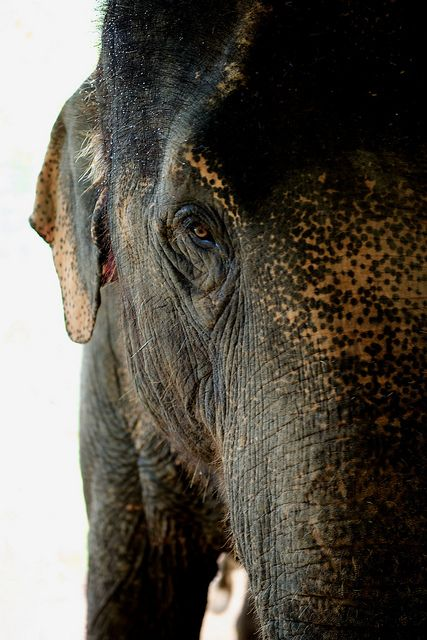 user avatar image for EricEGGagne