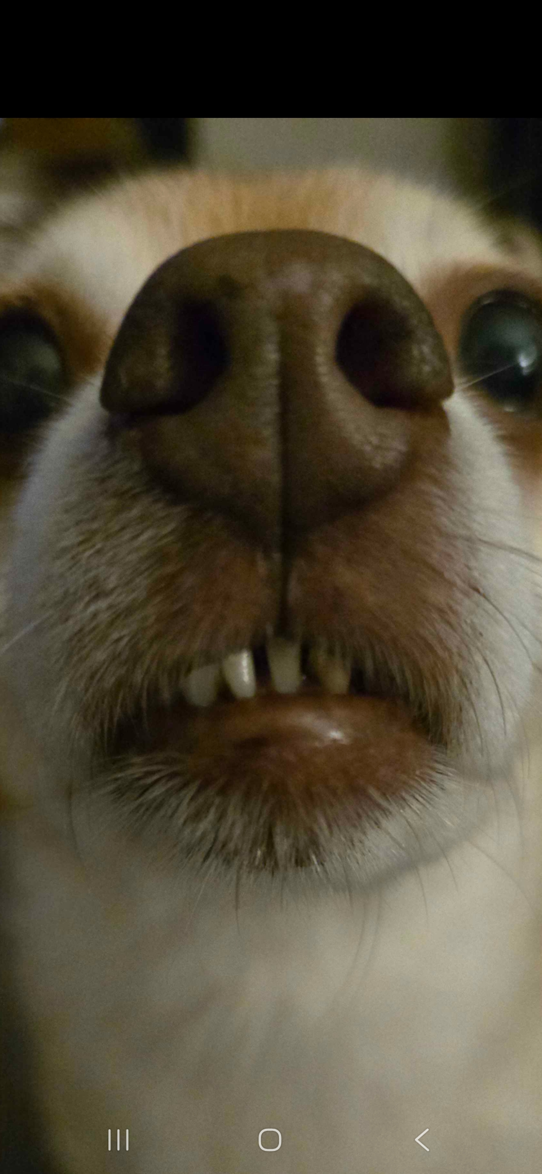 user avatar image for Leona