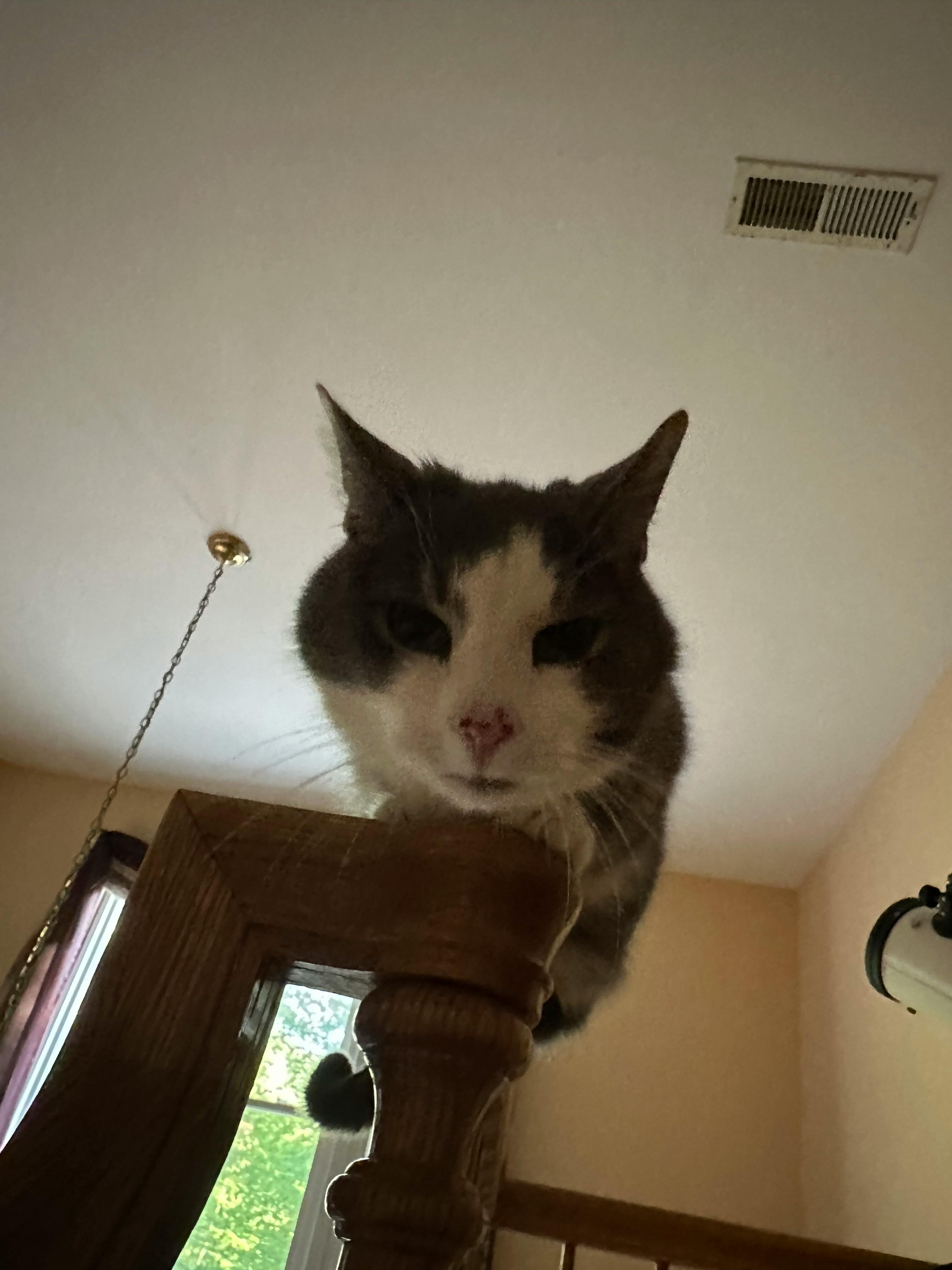 user avatar image for Samantha G