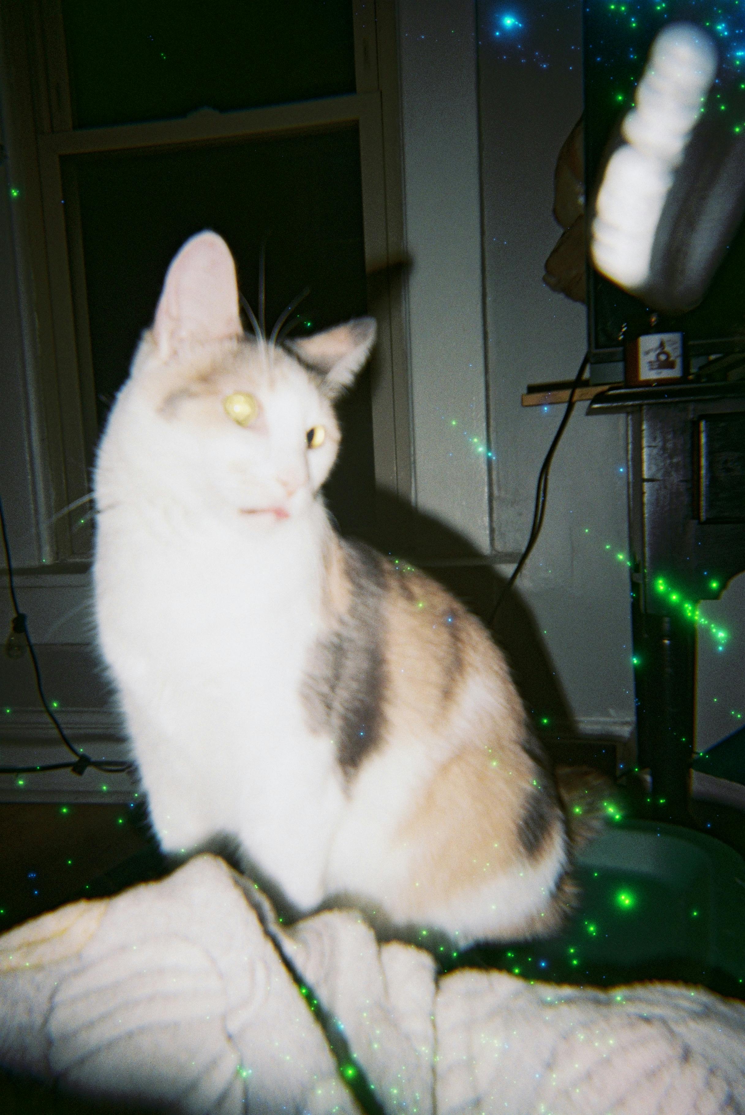 user avatar image for Mossy