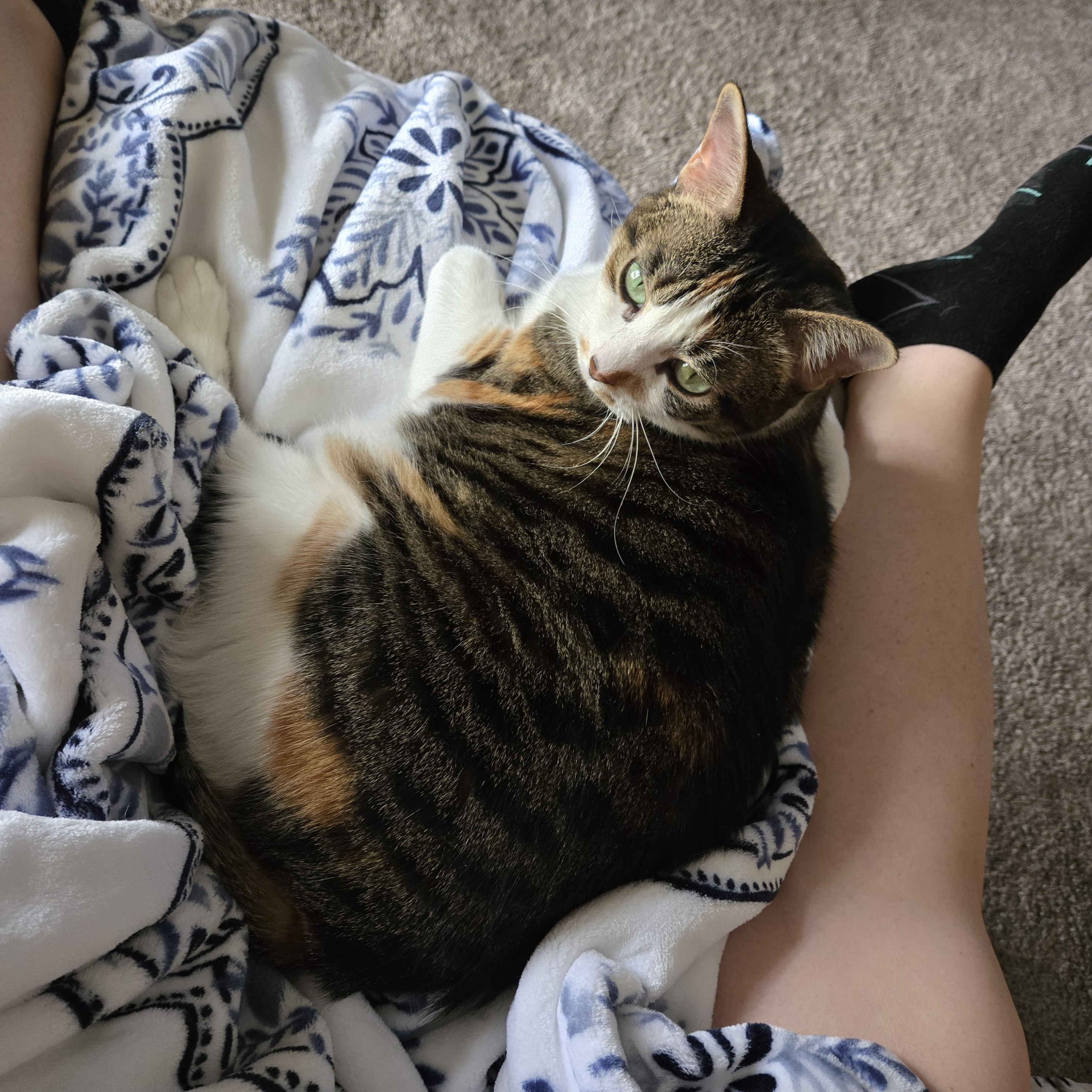 user avatar image for Sarah Toohey 