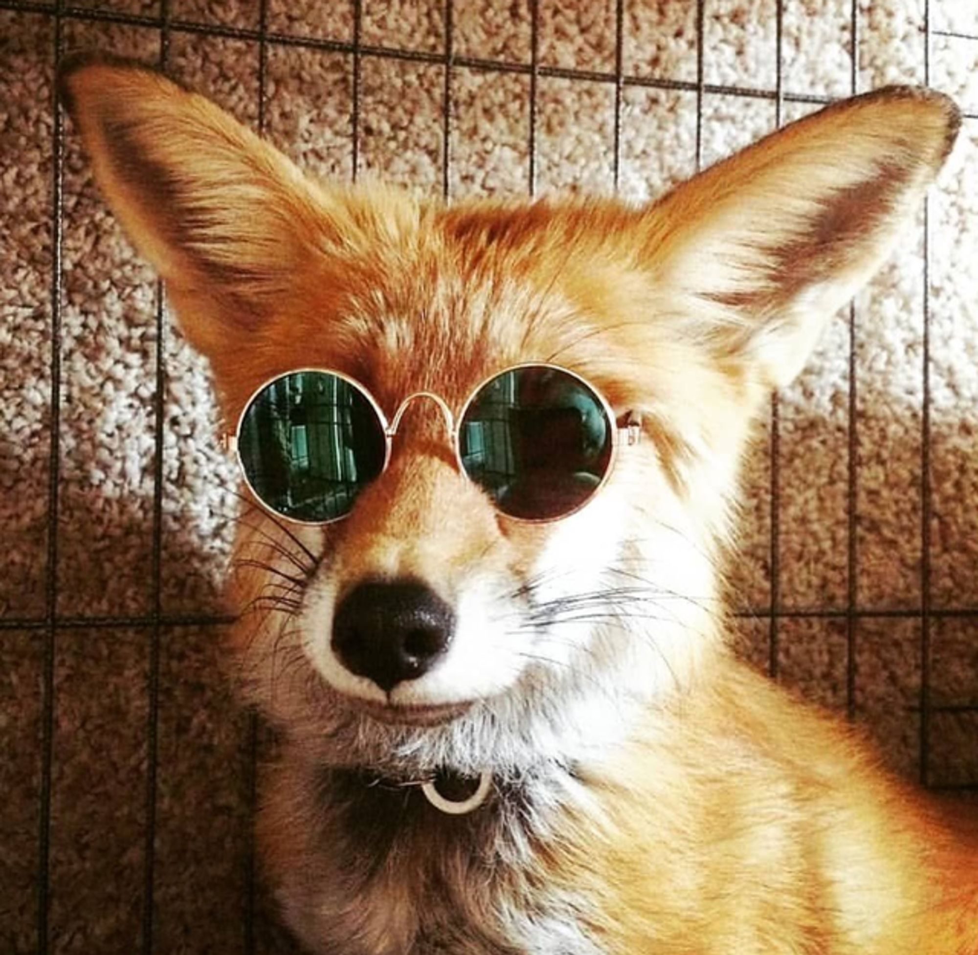 user avatar image for August Parker