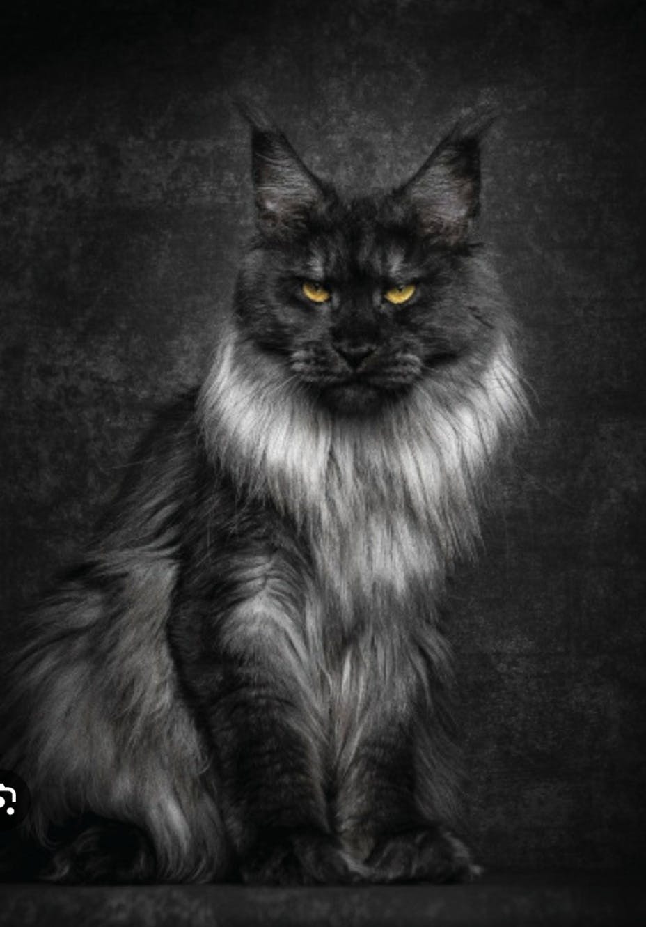 user avatar image for Philip 