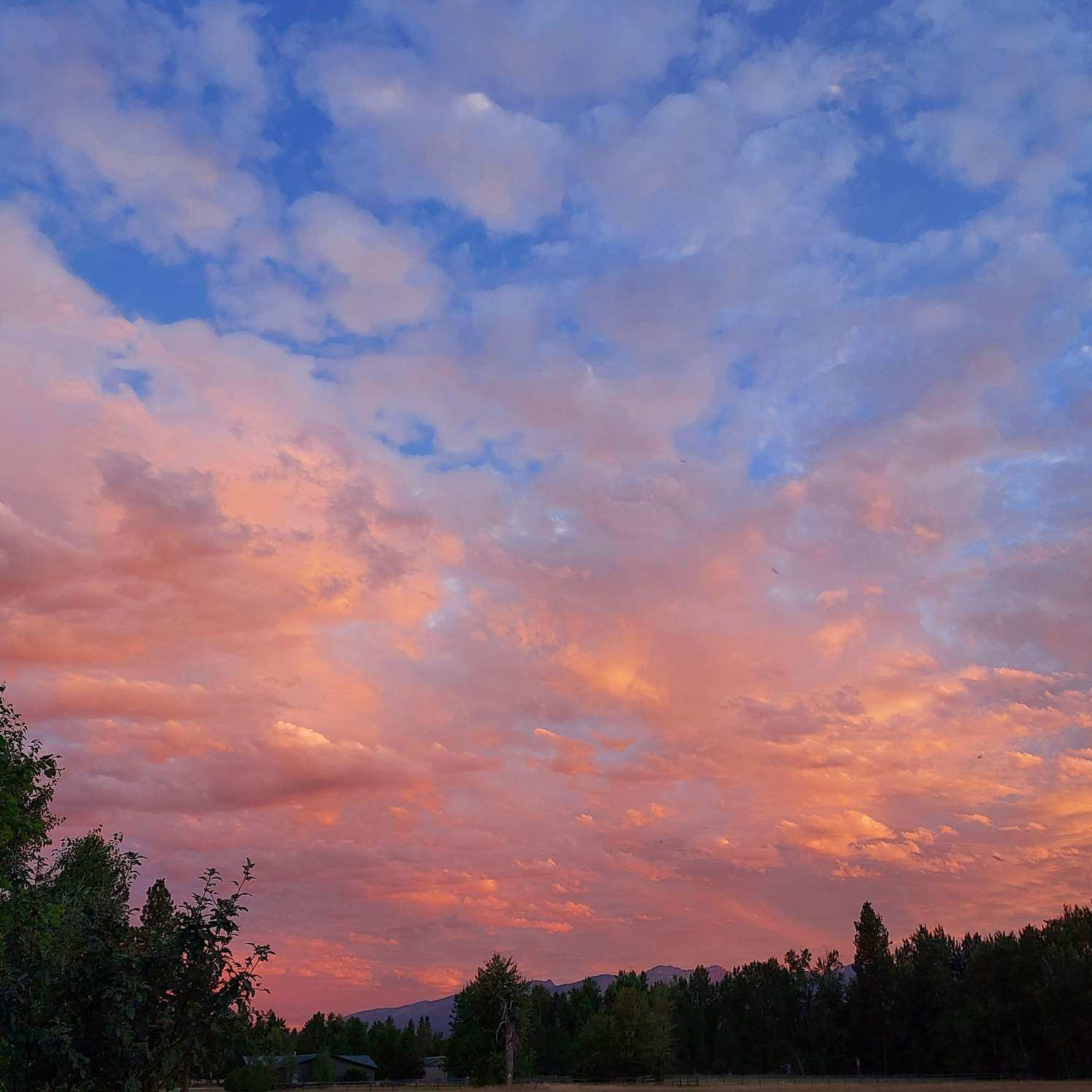 user avatar image for Mark E Larson