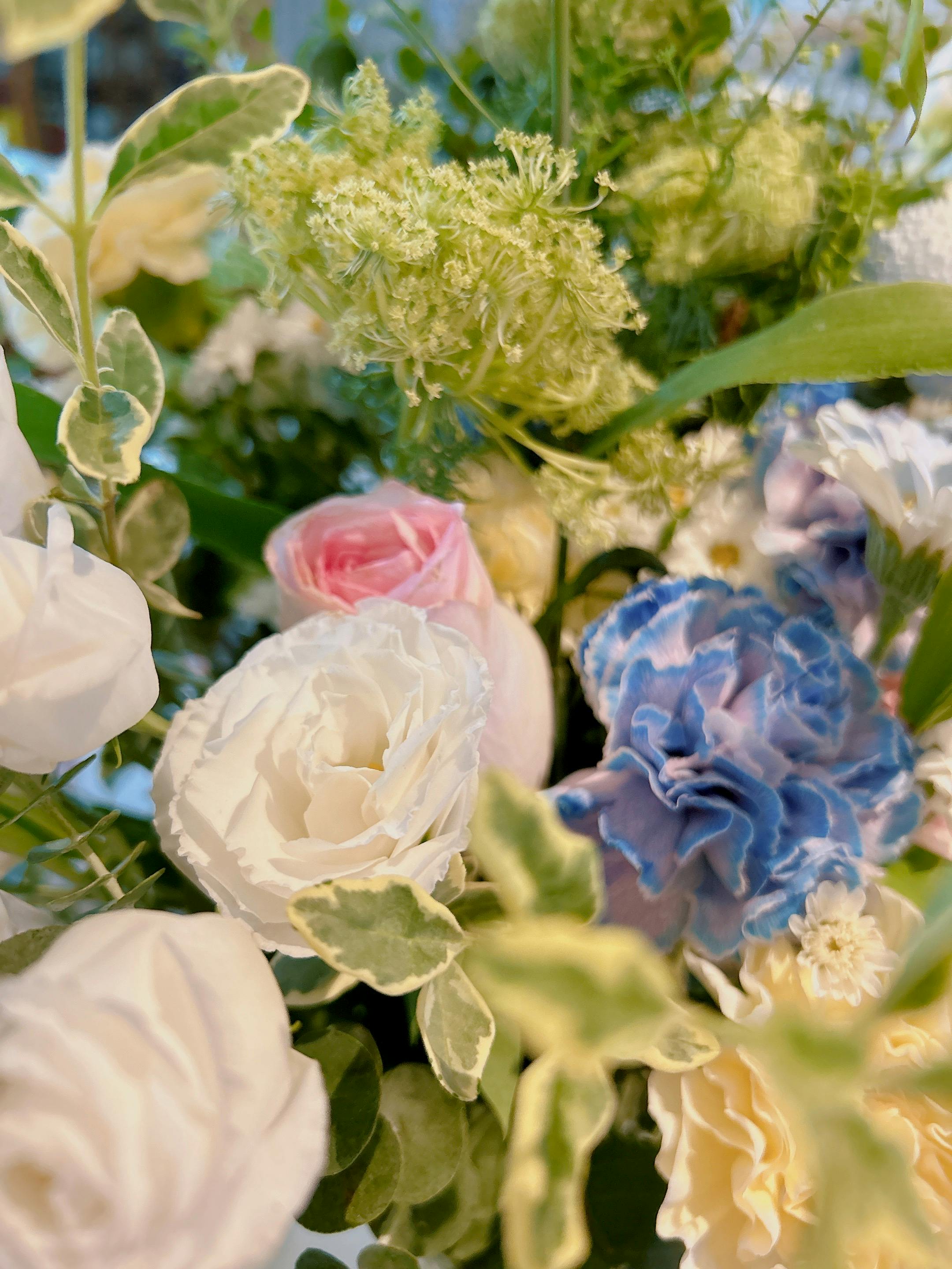 user avatar image for Sunoo Jun