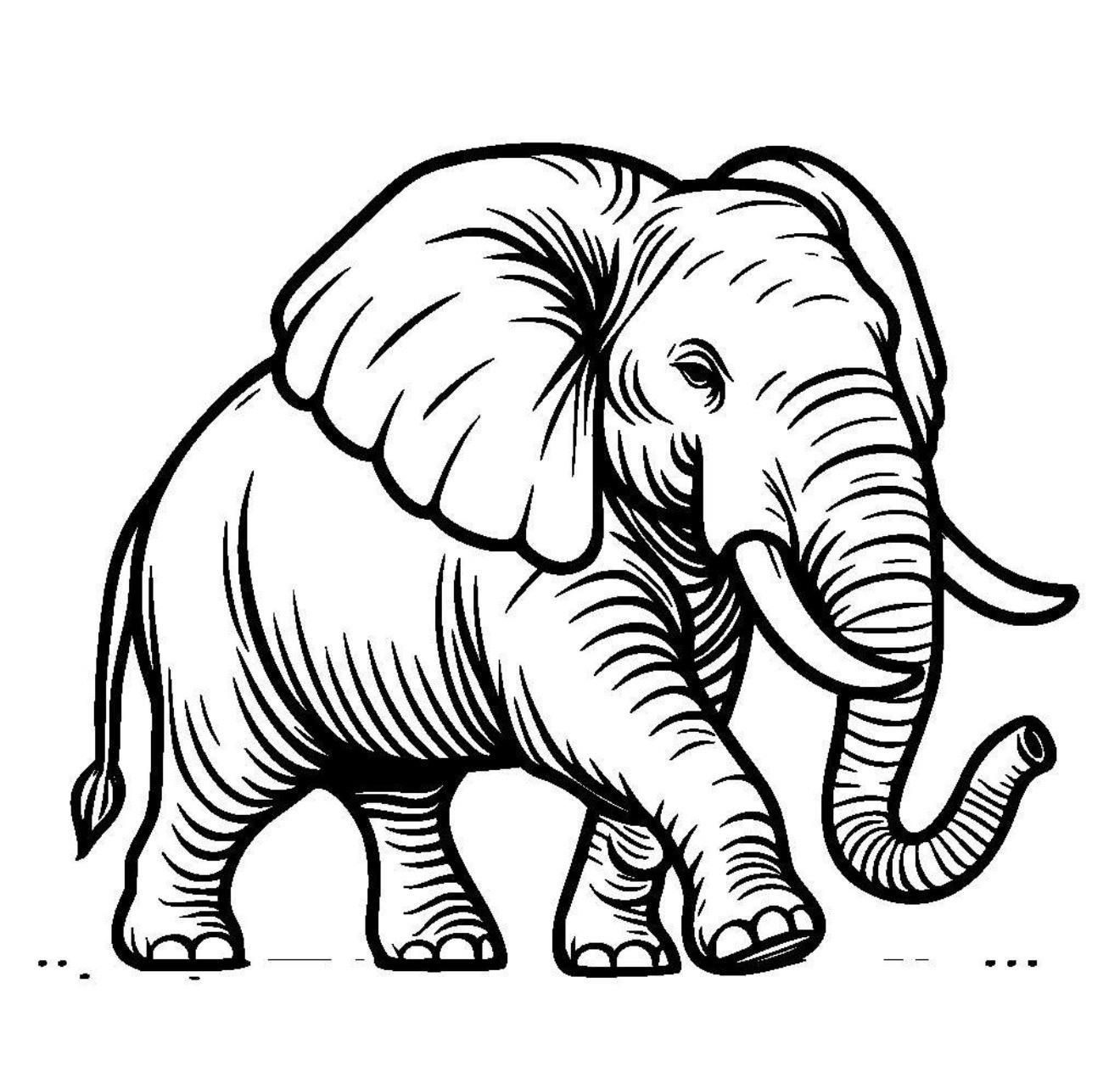 user avatar image for Richard Moser