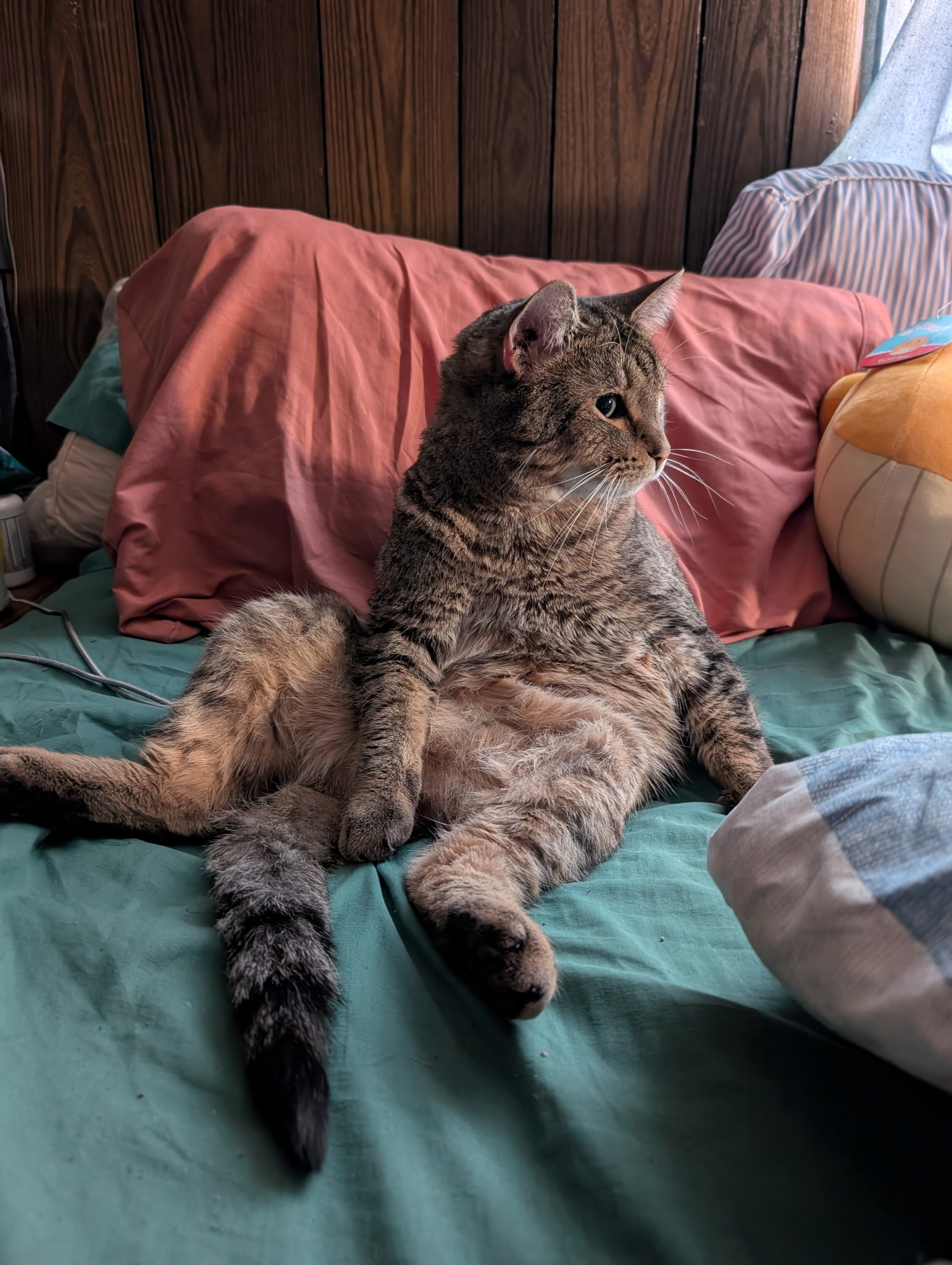 user avatar image for George mcgonigle