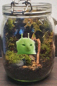 user avatar image for Tavi