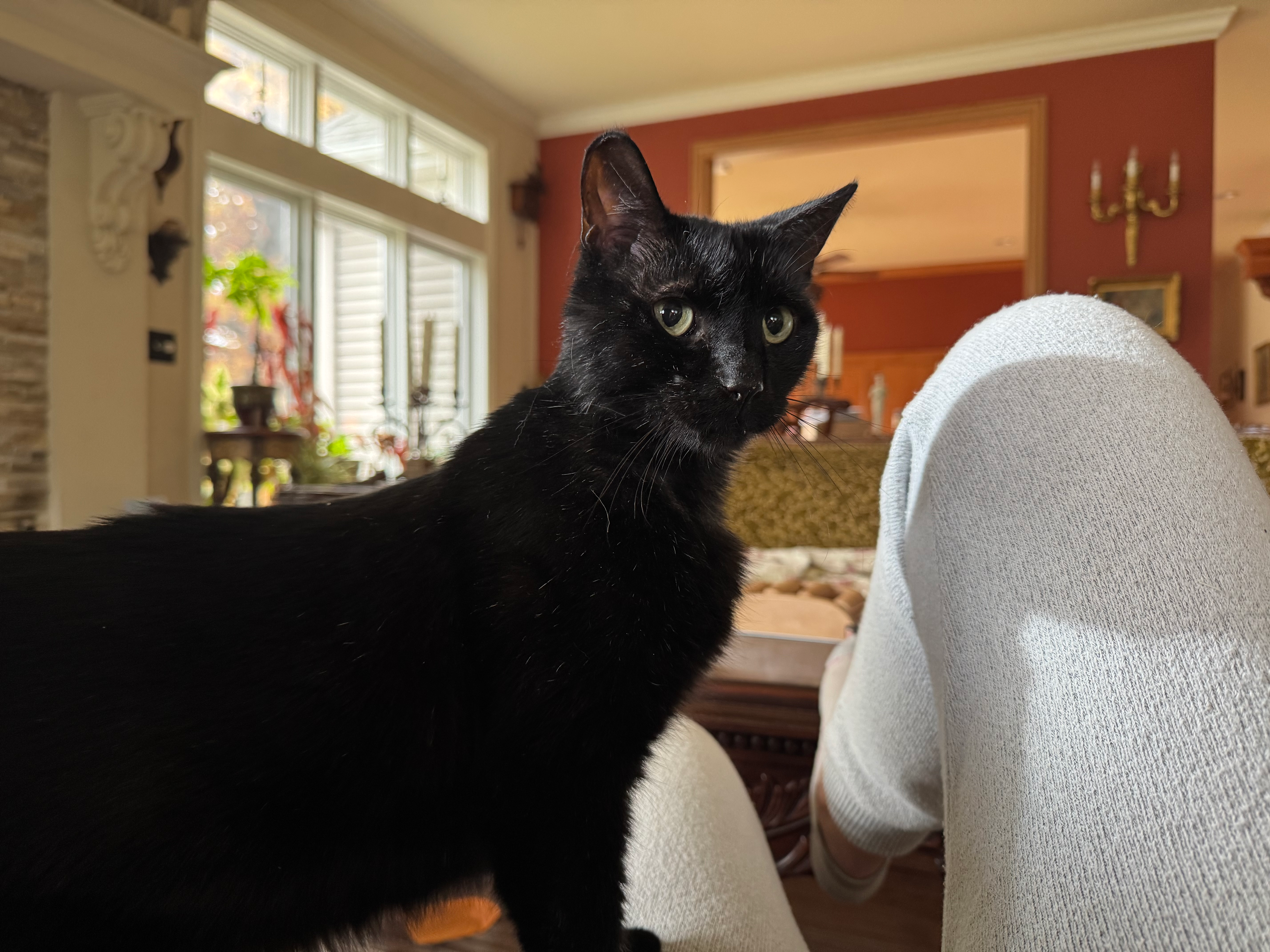 user avatar image for Katykat