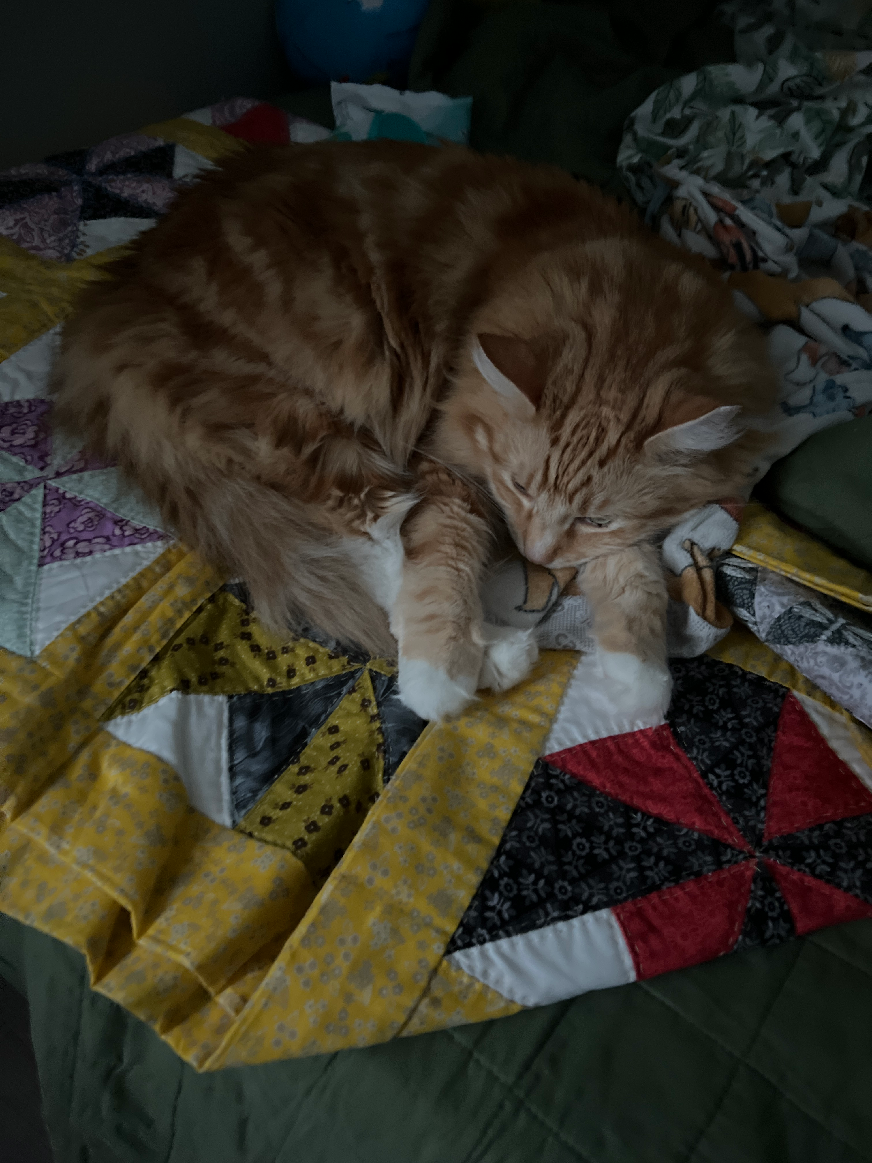 user avatar image for Ipharwood