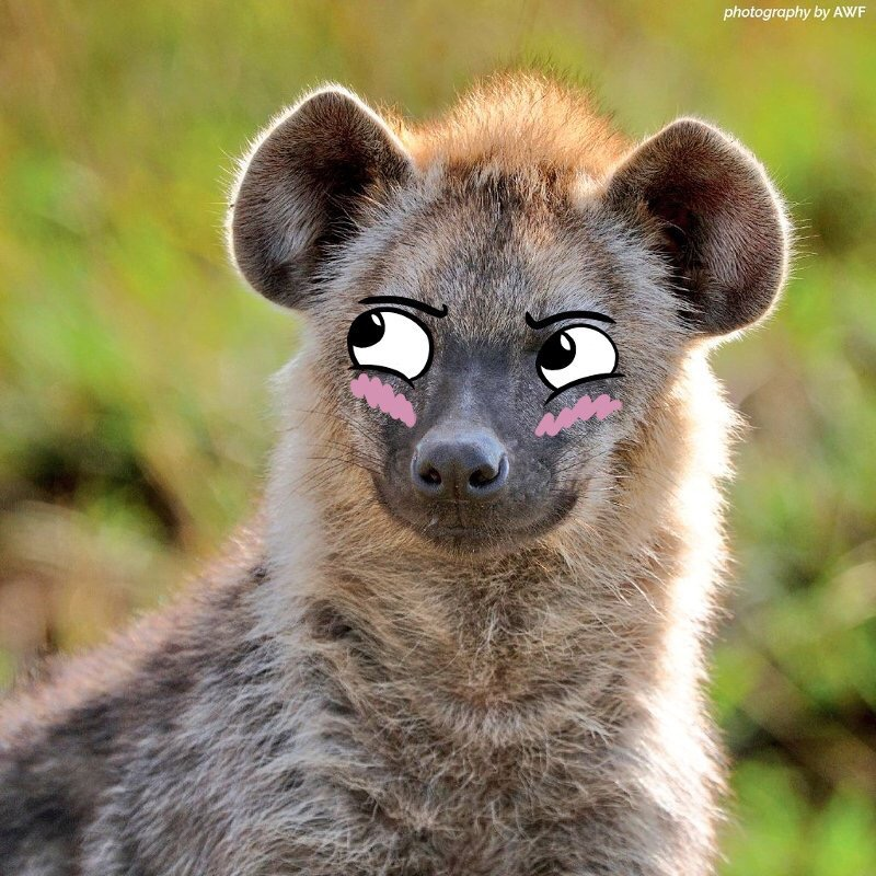 user avatar image for Jackal 