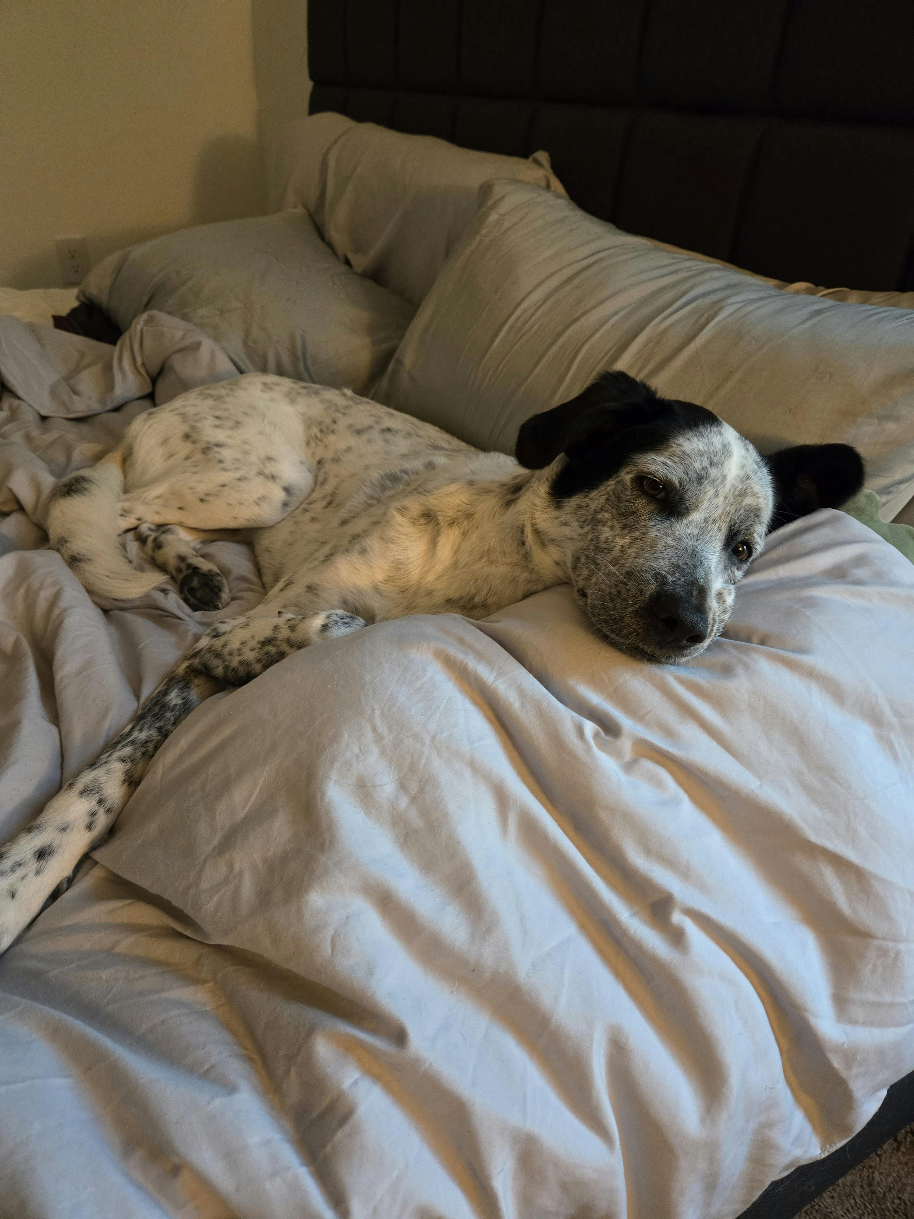 user avatar image for Ramiro Nava