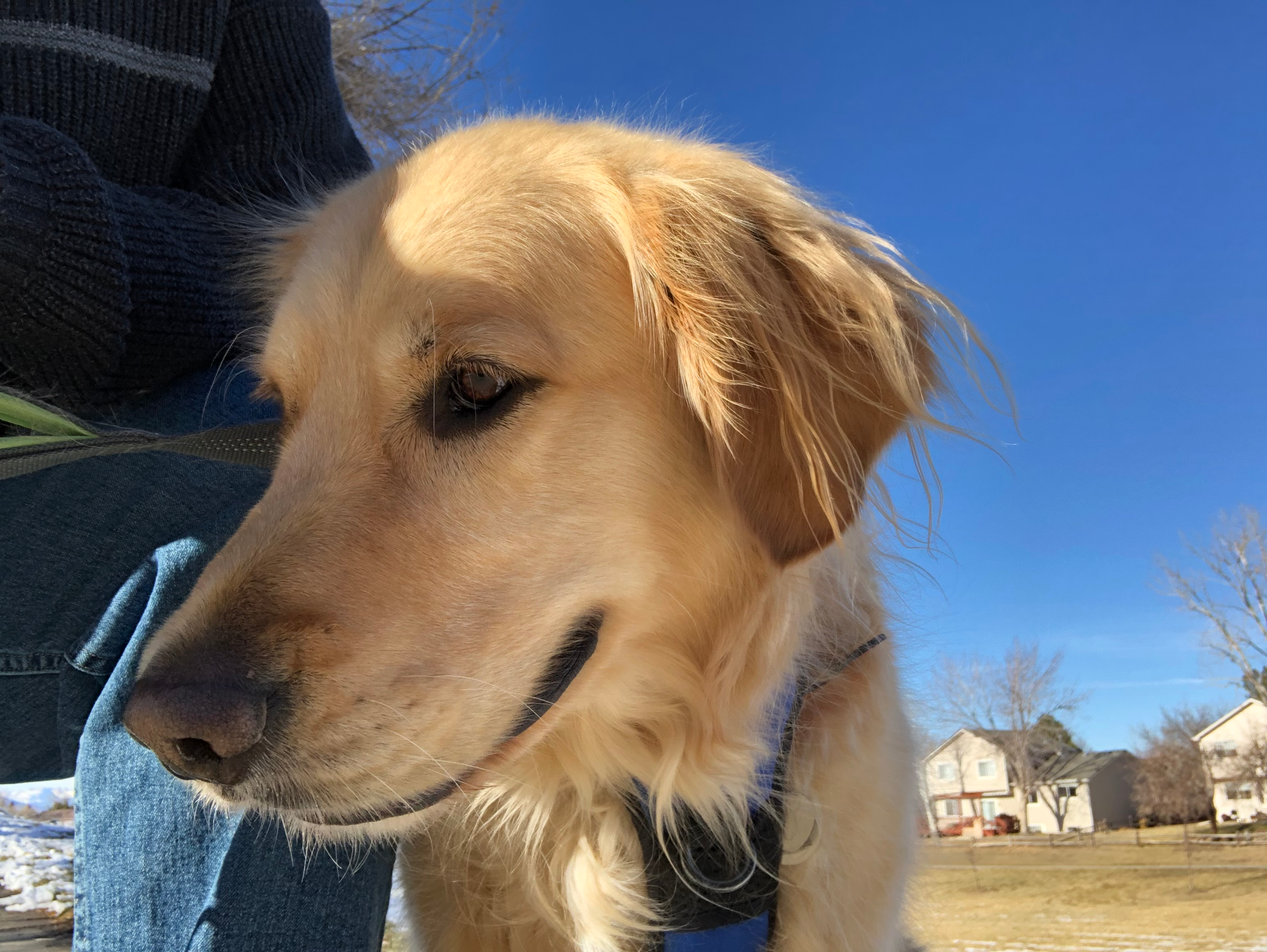 user avatar image for Ixnay66