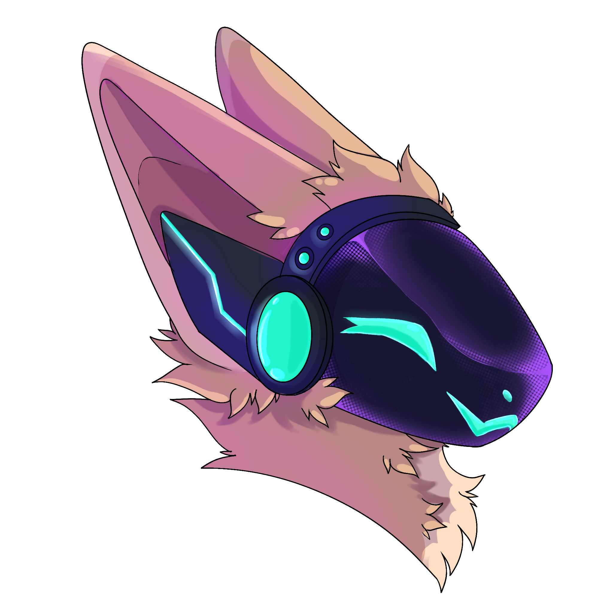 user avatar image for Joorffie