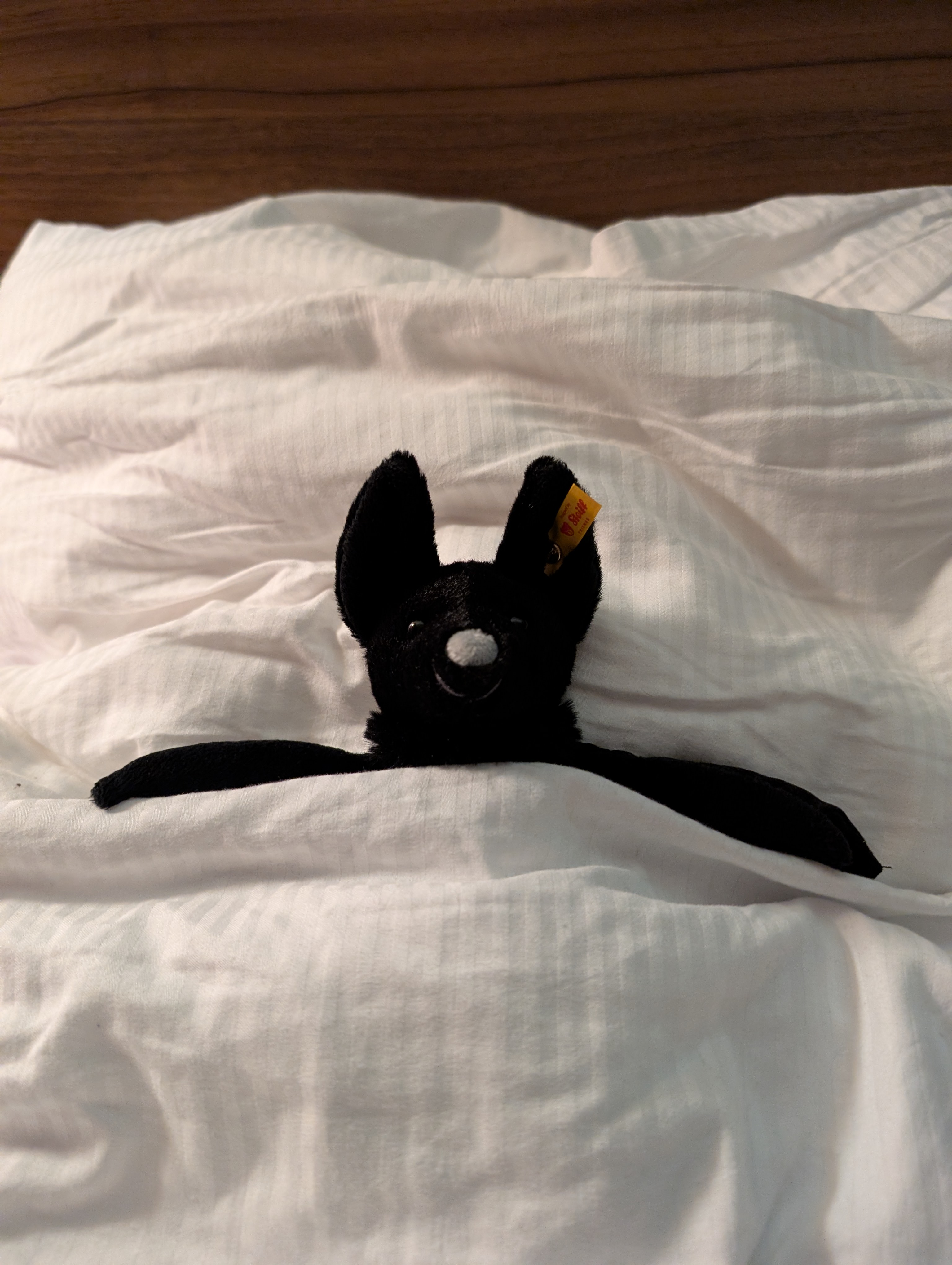 user avatar image for El