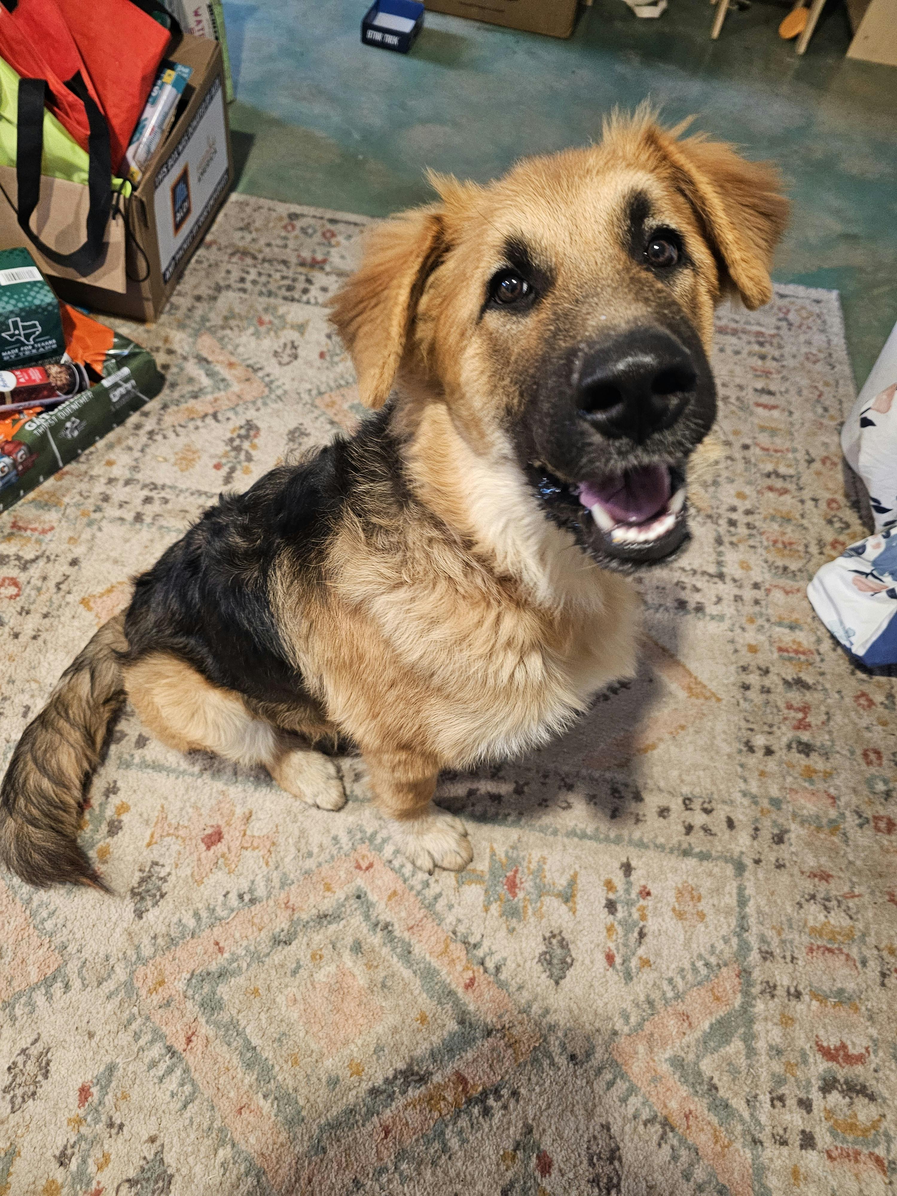 user avatar image for Kaitlyn Young