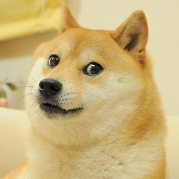 user avatar image for PePPo