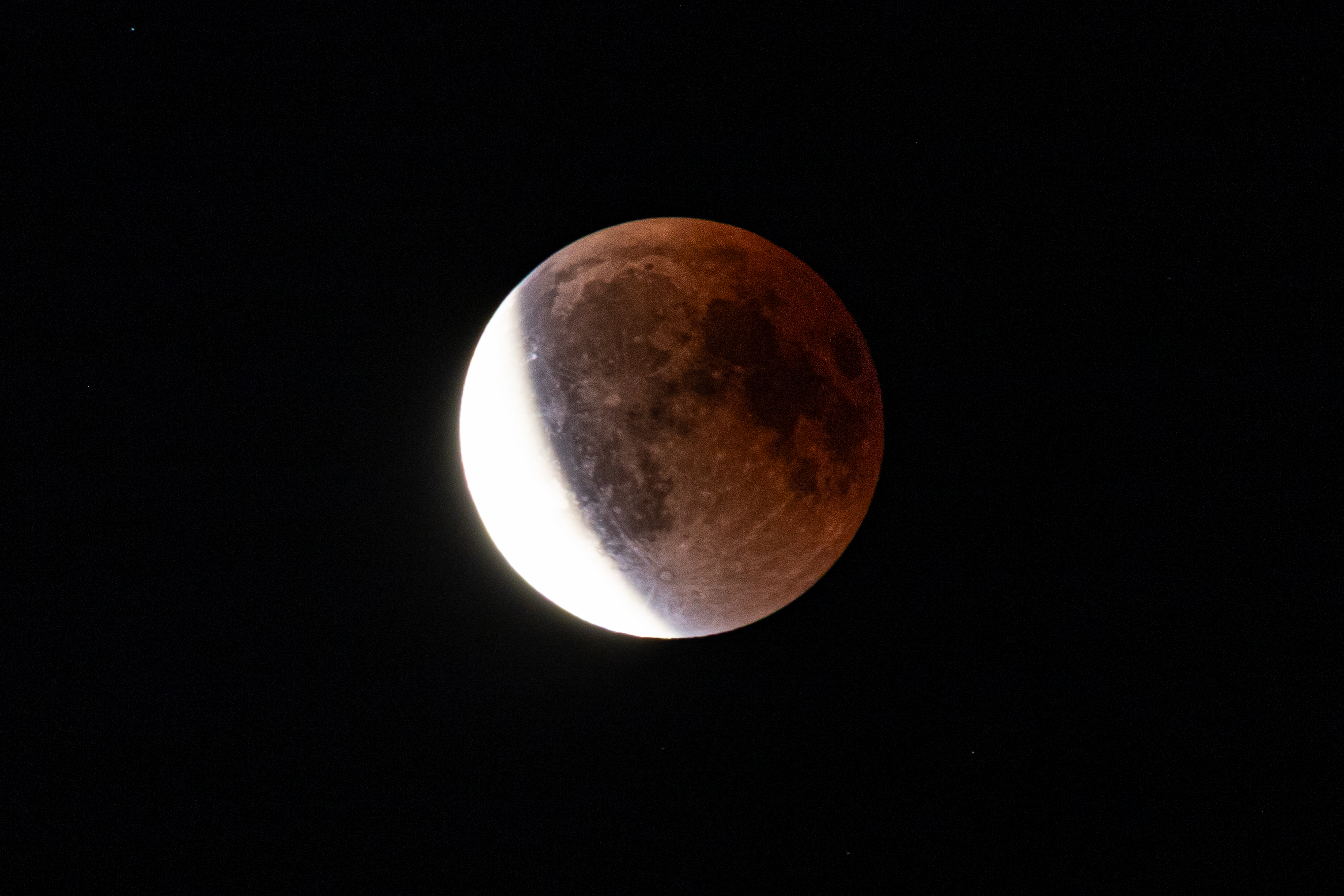 user avatar image for A D