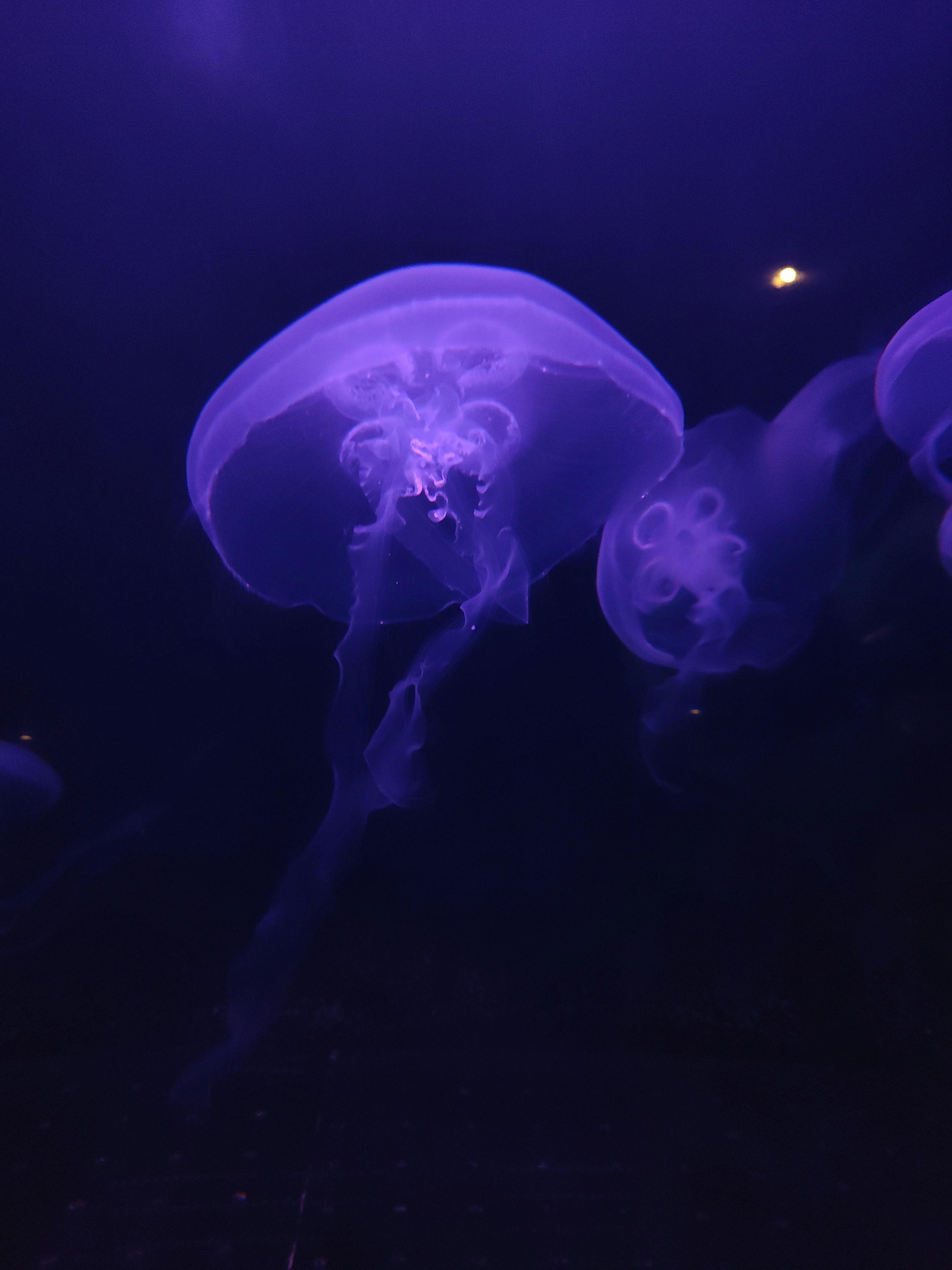 user avatar image for Nikiya Garrison