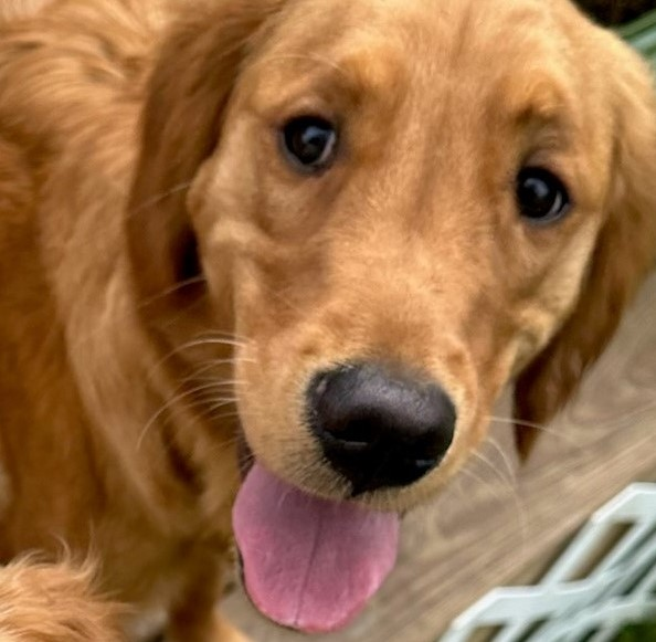 user avatar image for King Woolf