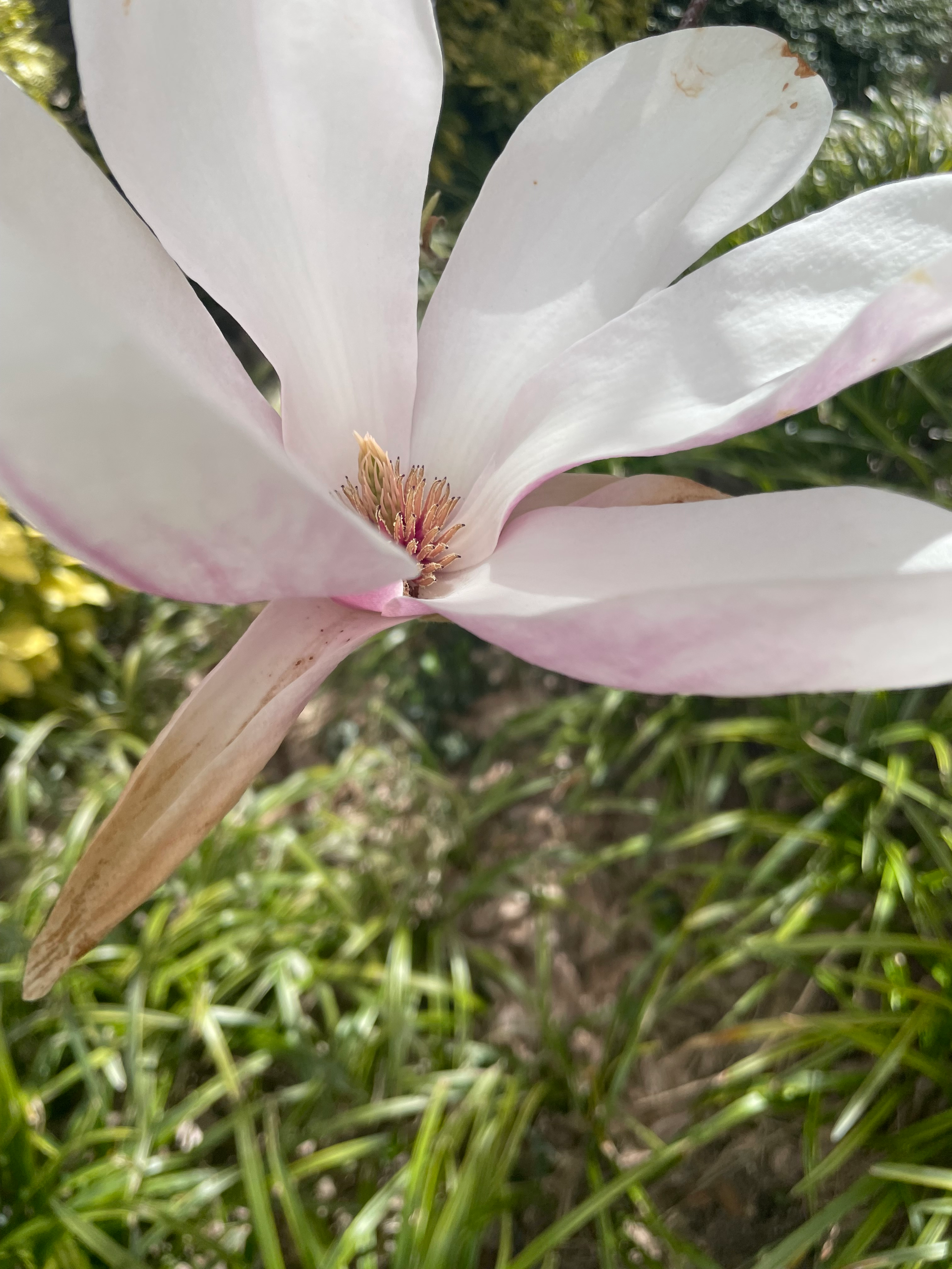 user avatar image for Wendy Martinez 