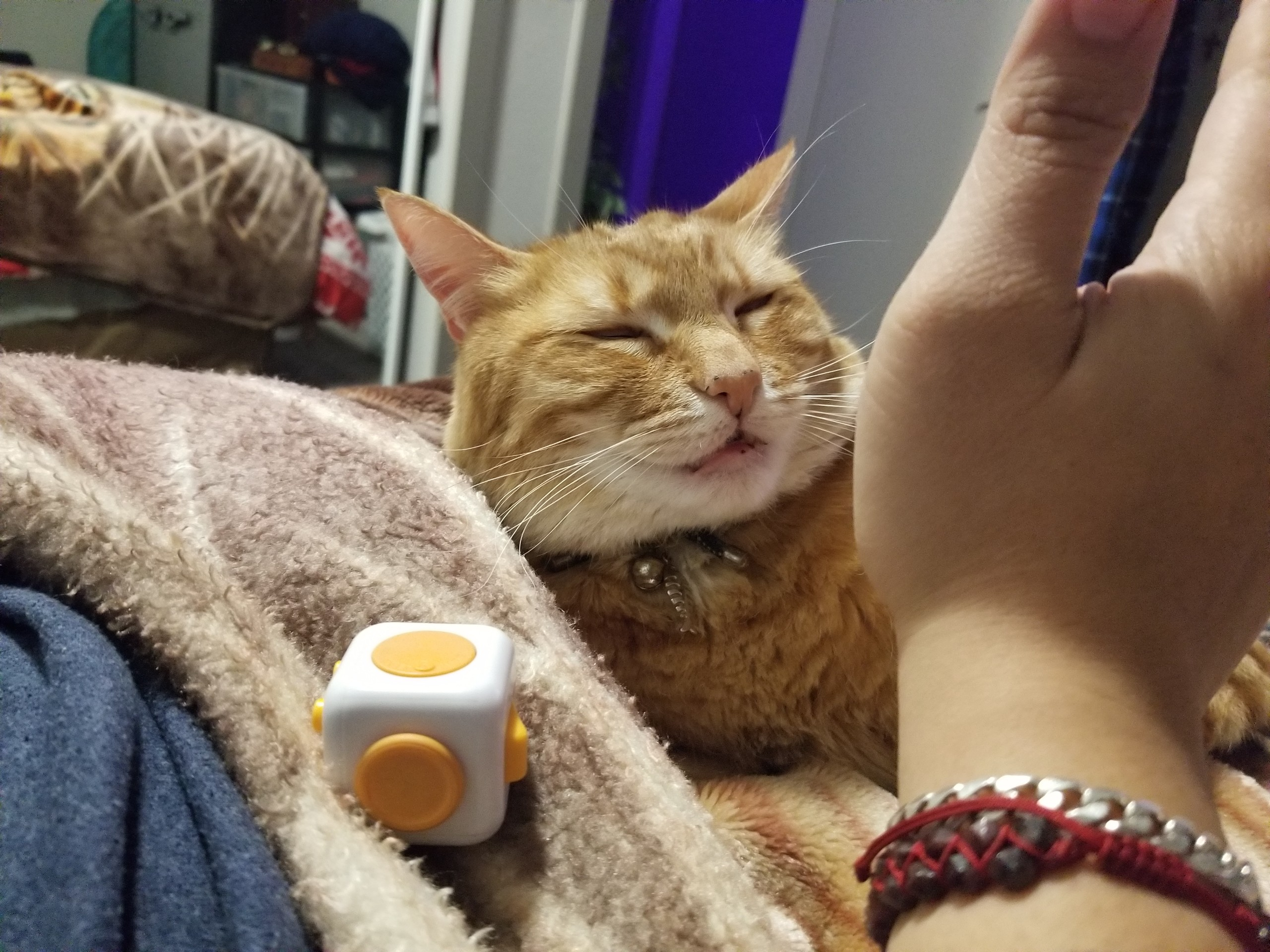 user avatar image for Daysis 