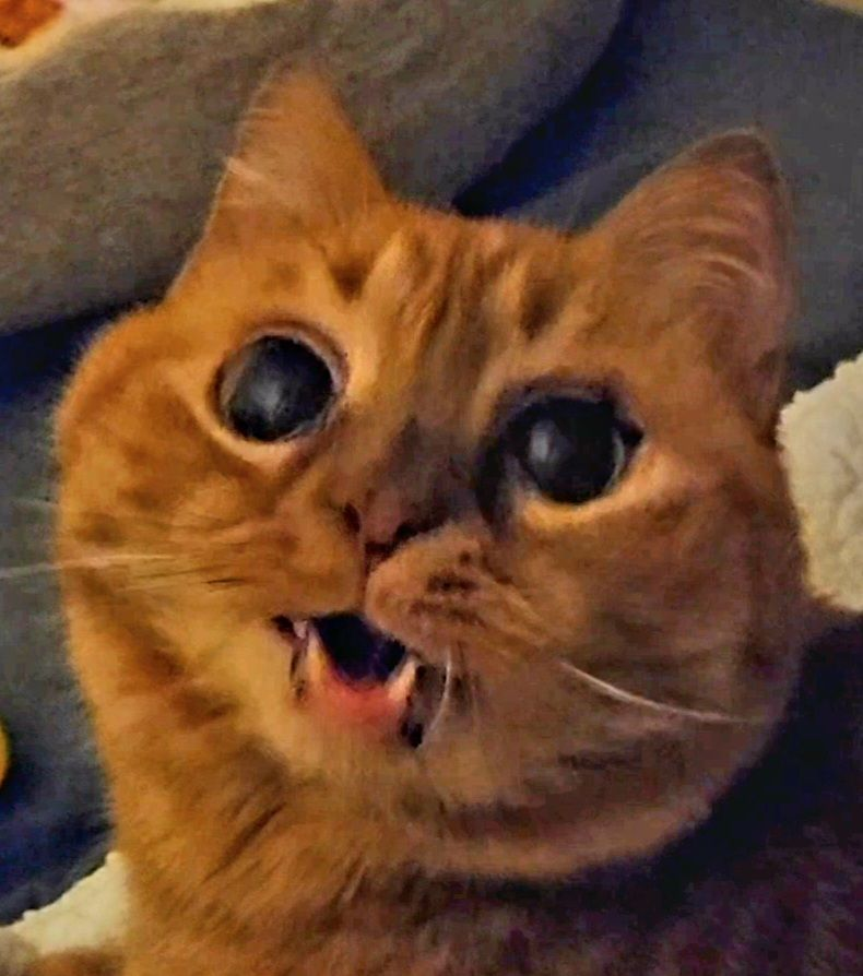 user avatar image for Amber