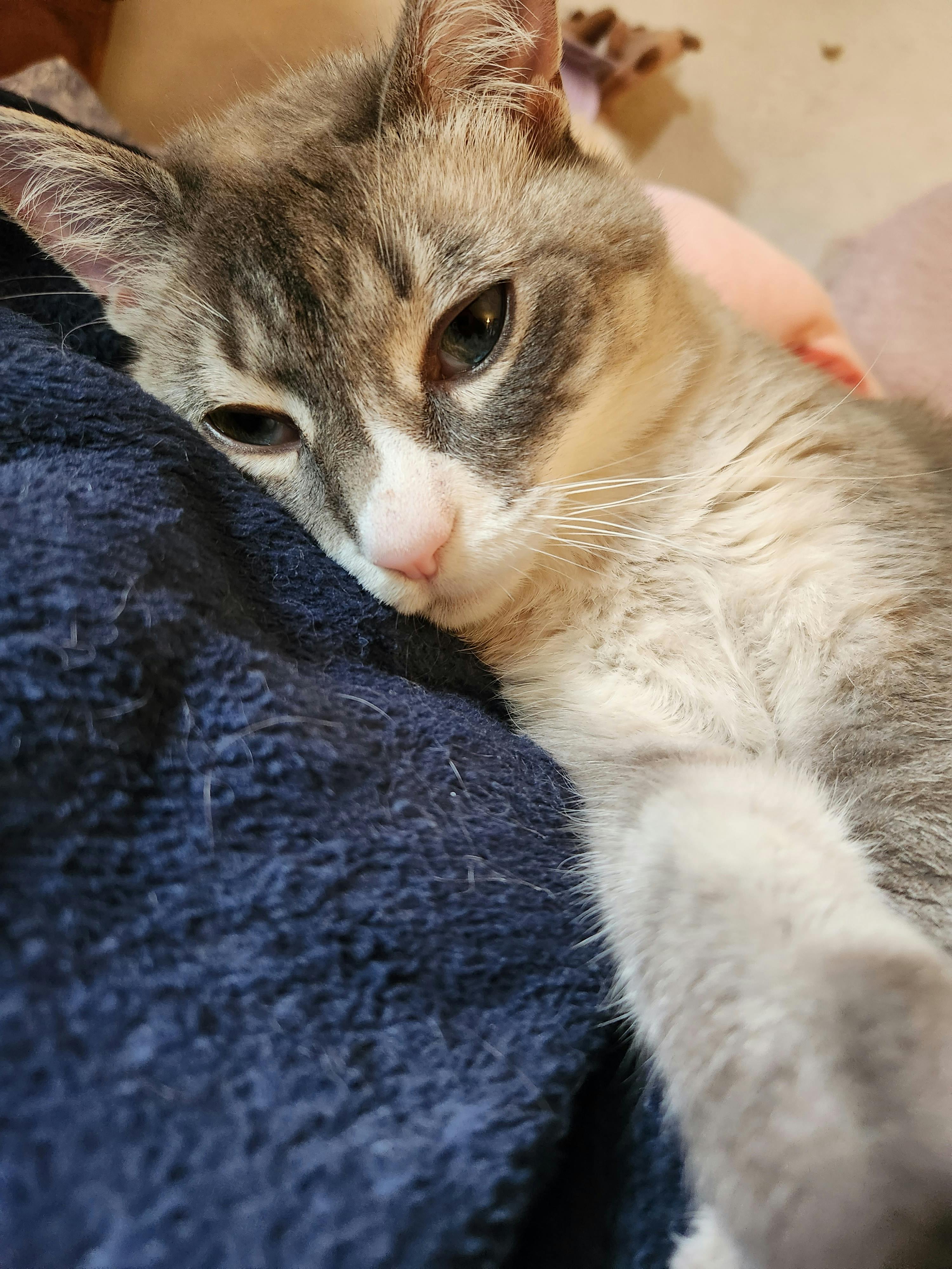 user avatar image for Kat