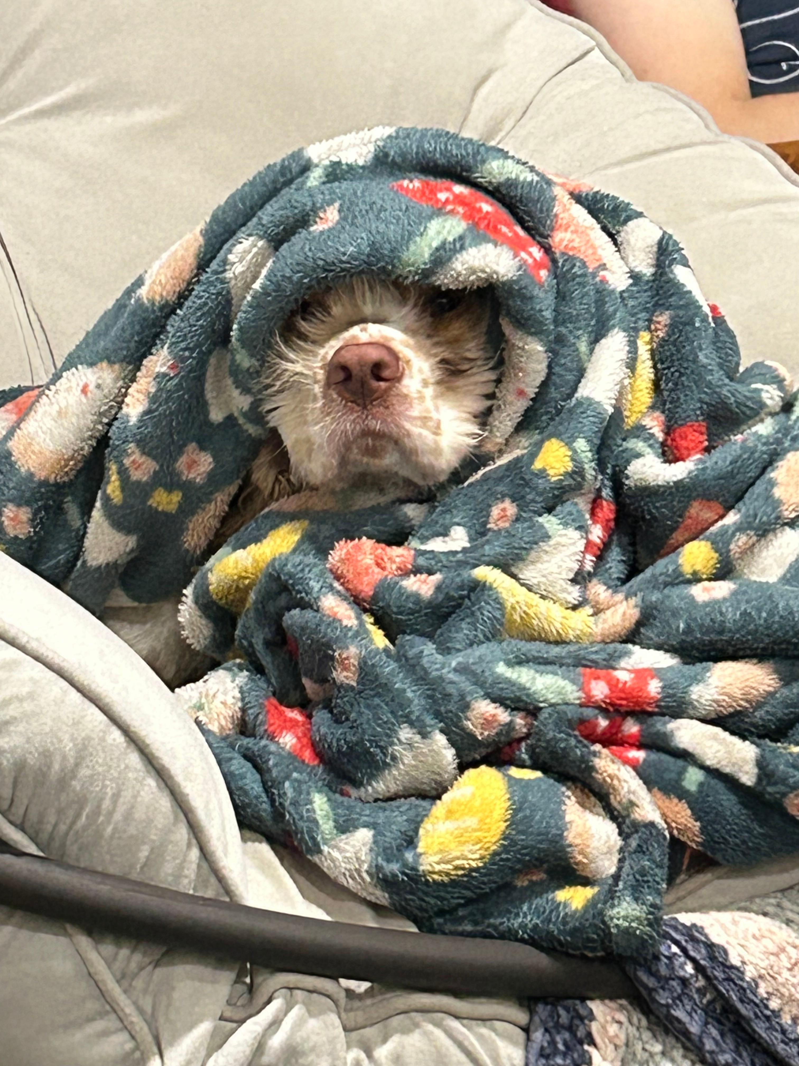 user avatar image for NQZombie