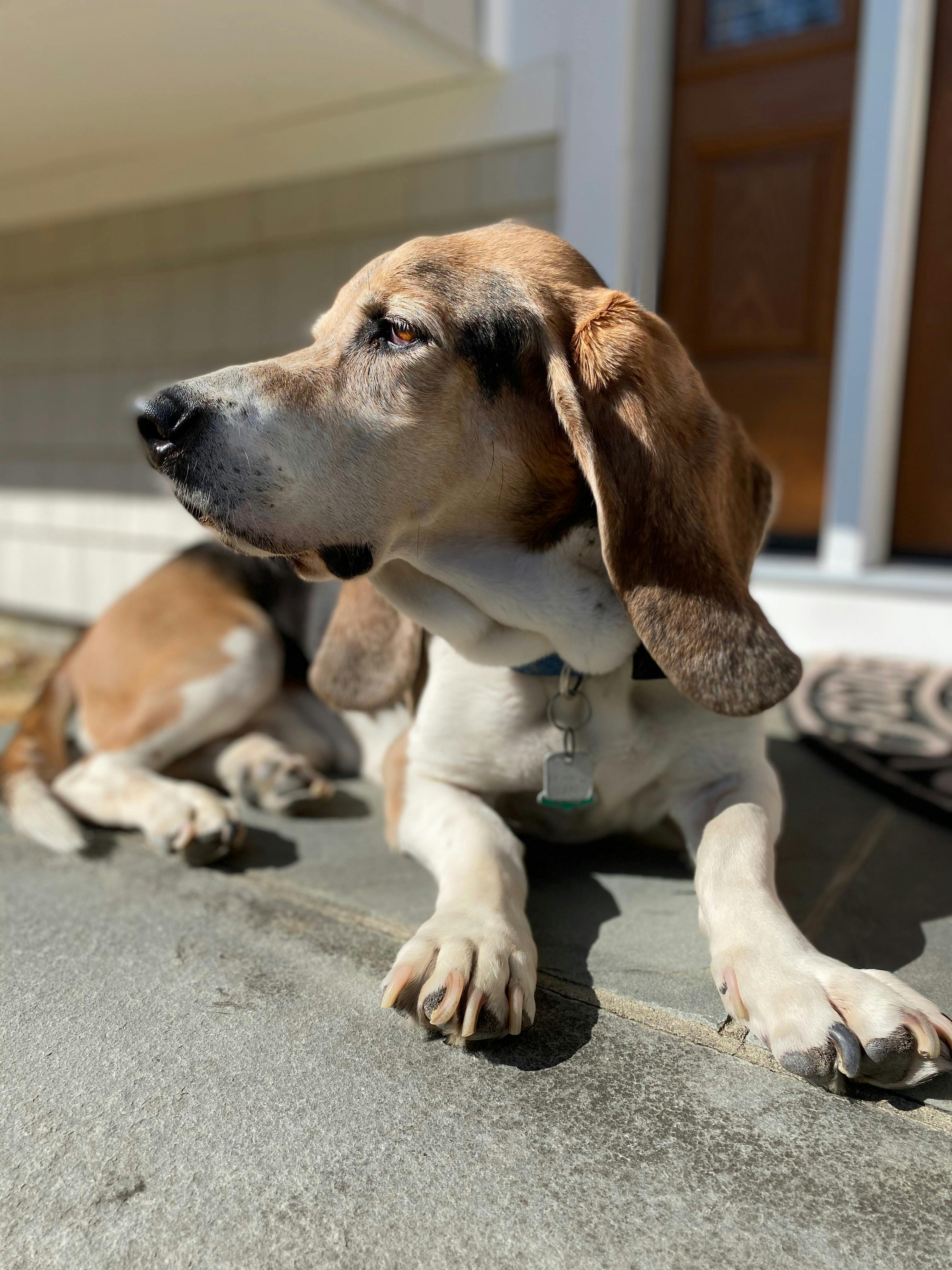 user avatar image for Vicky