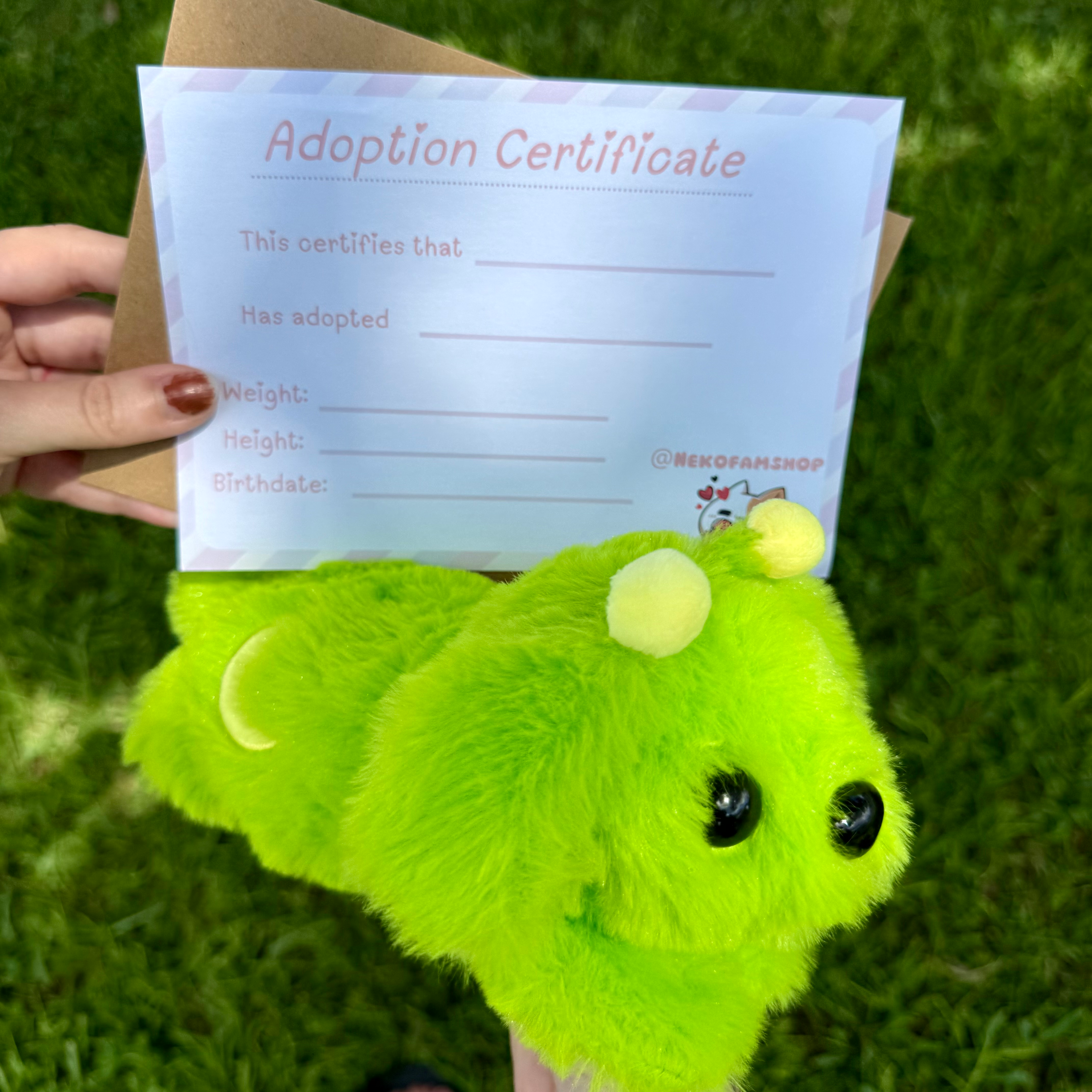 Limited Pubby Plush