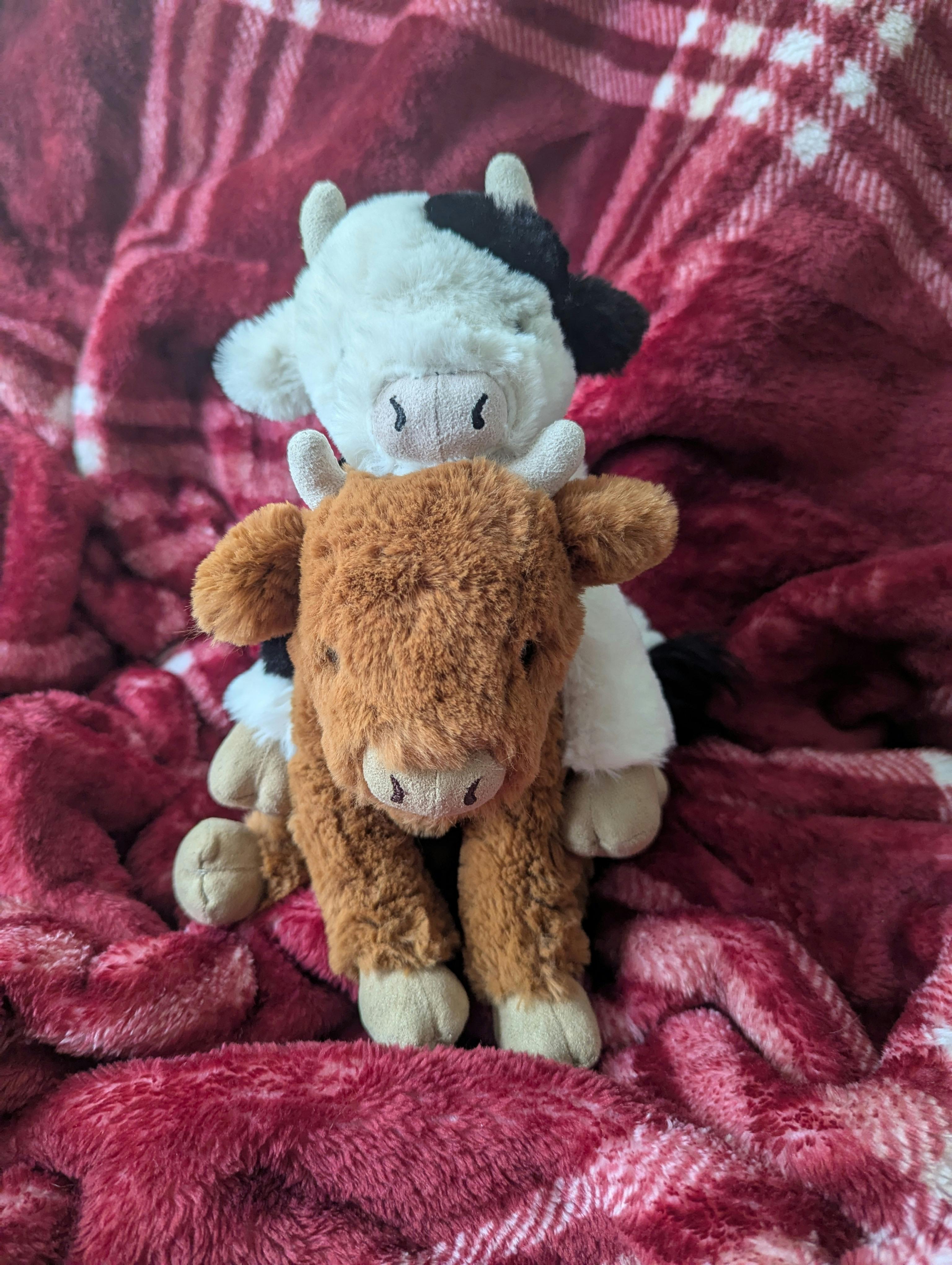 user avatar image for Plushies4Dayz