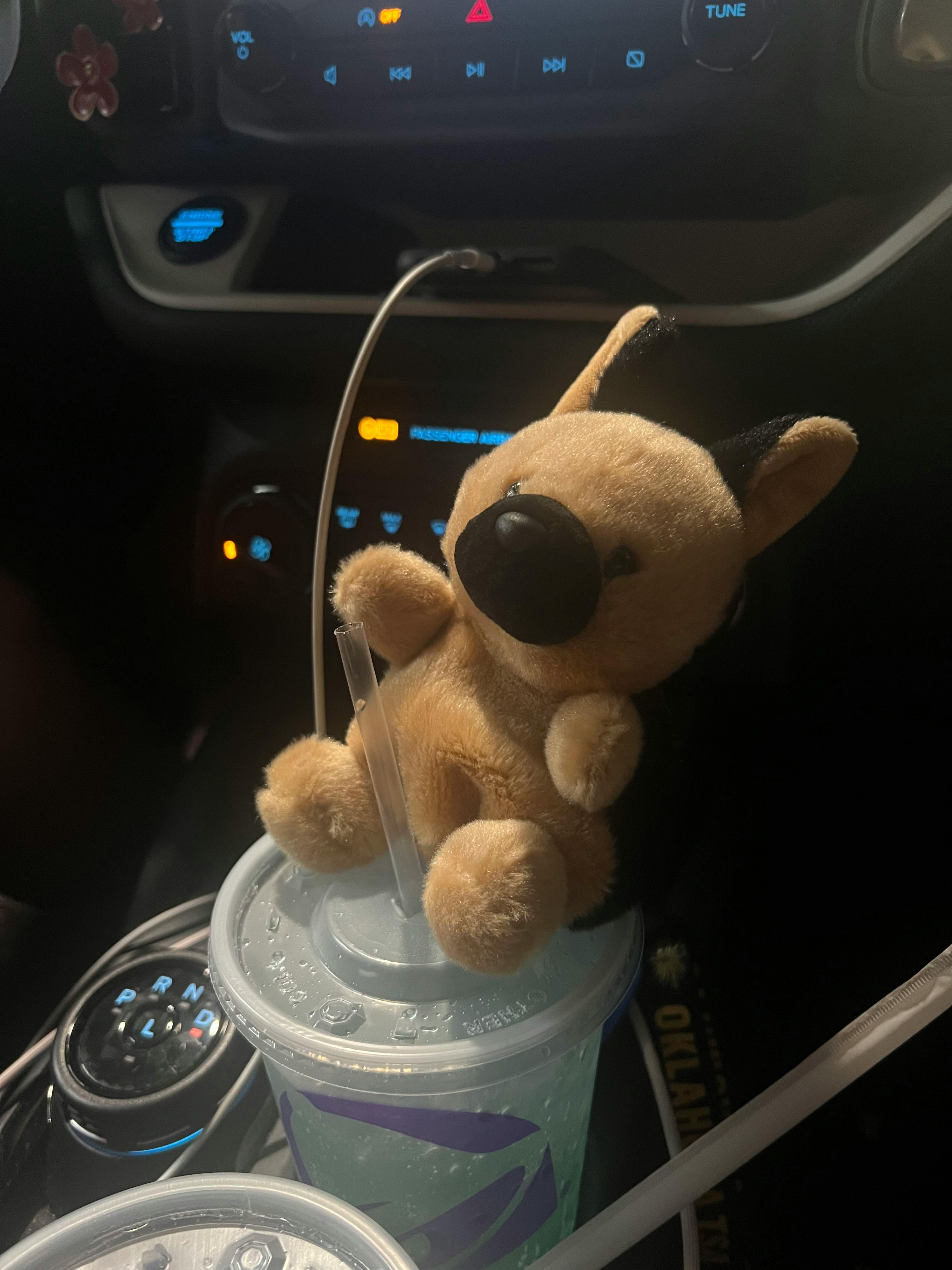 user avatar image for Taylor Blood