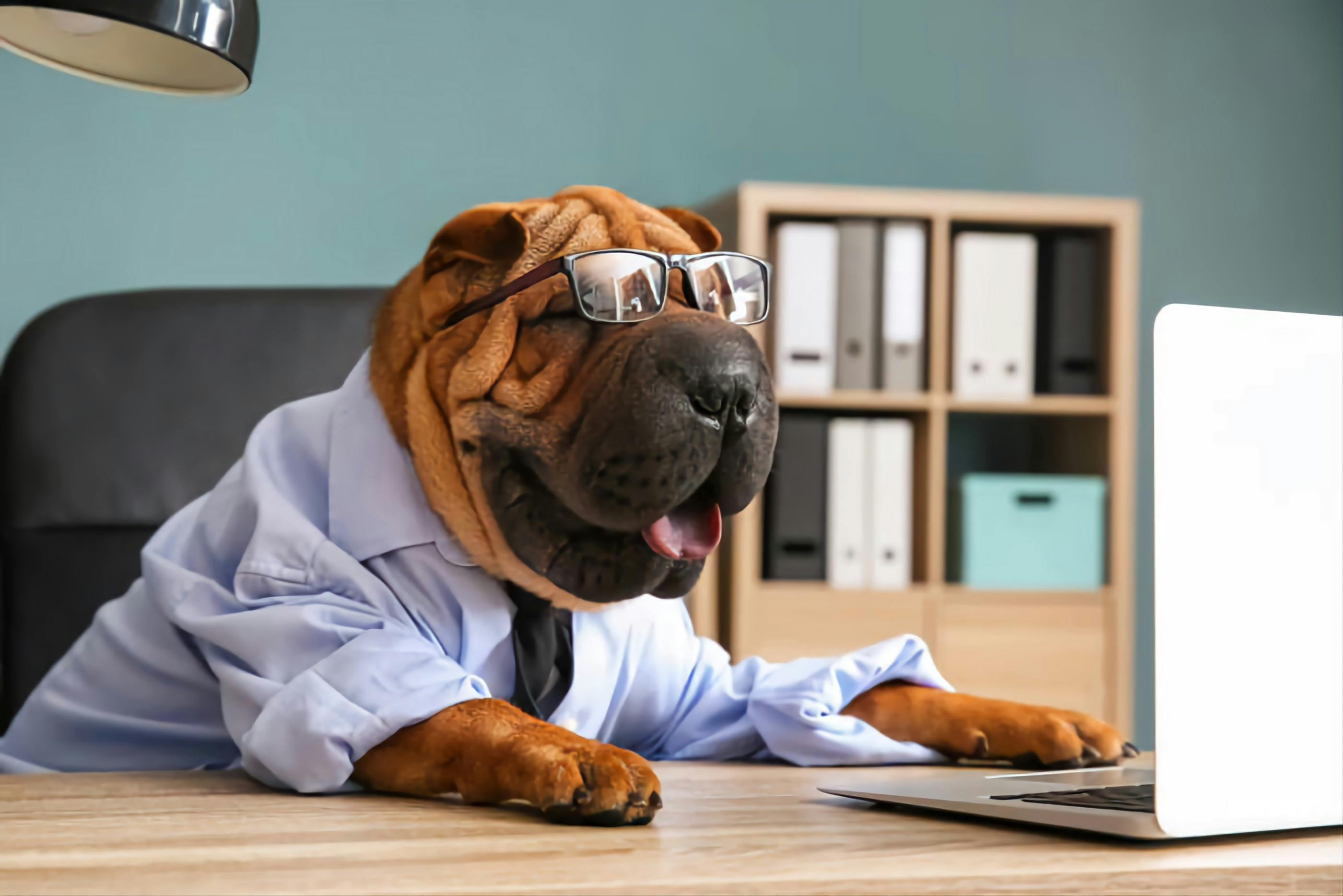 user avatar image for TDawg