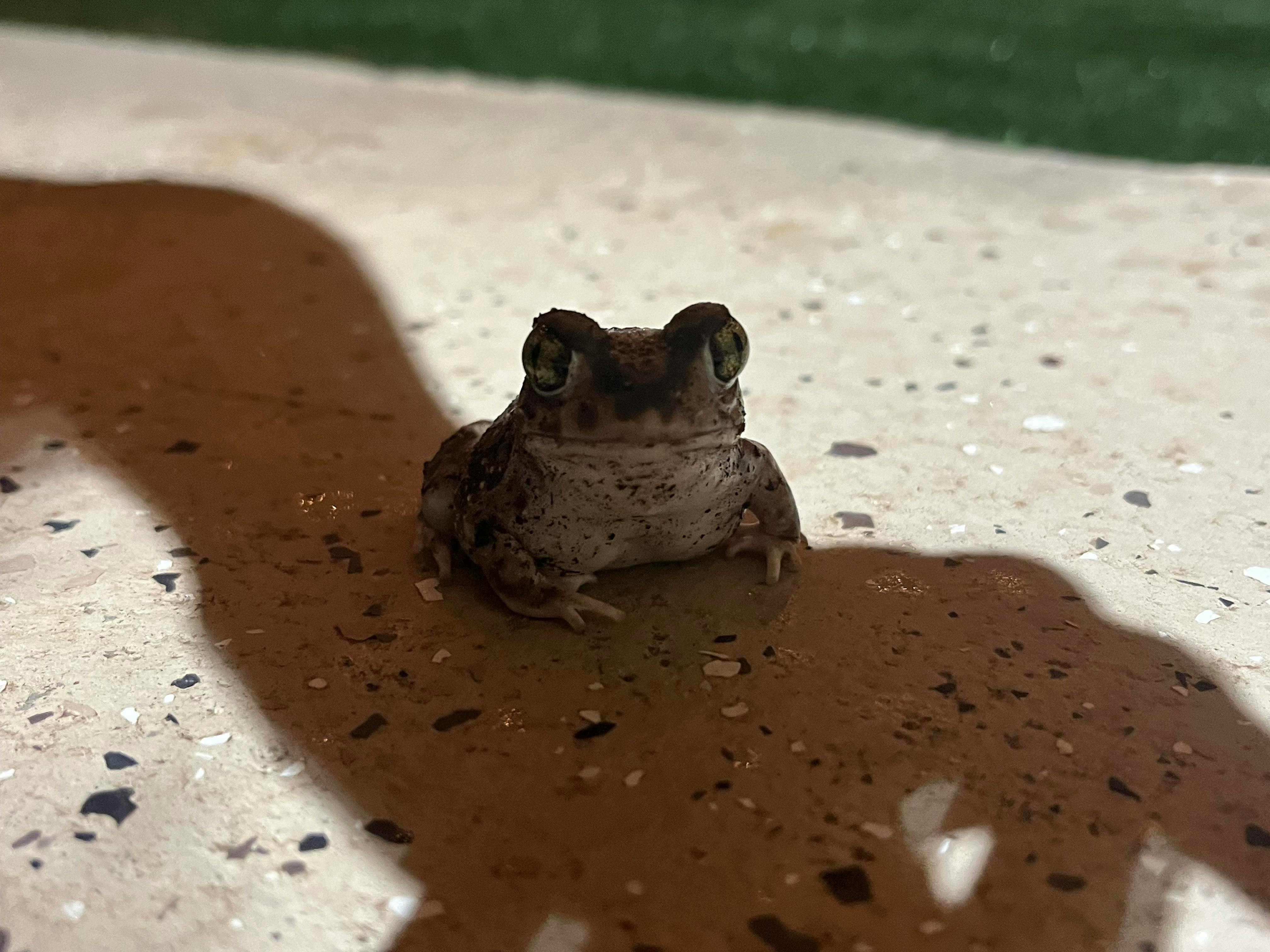 user avatar image for Sophia Antunez