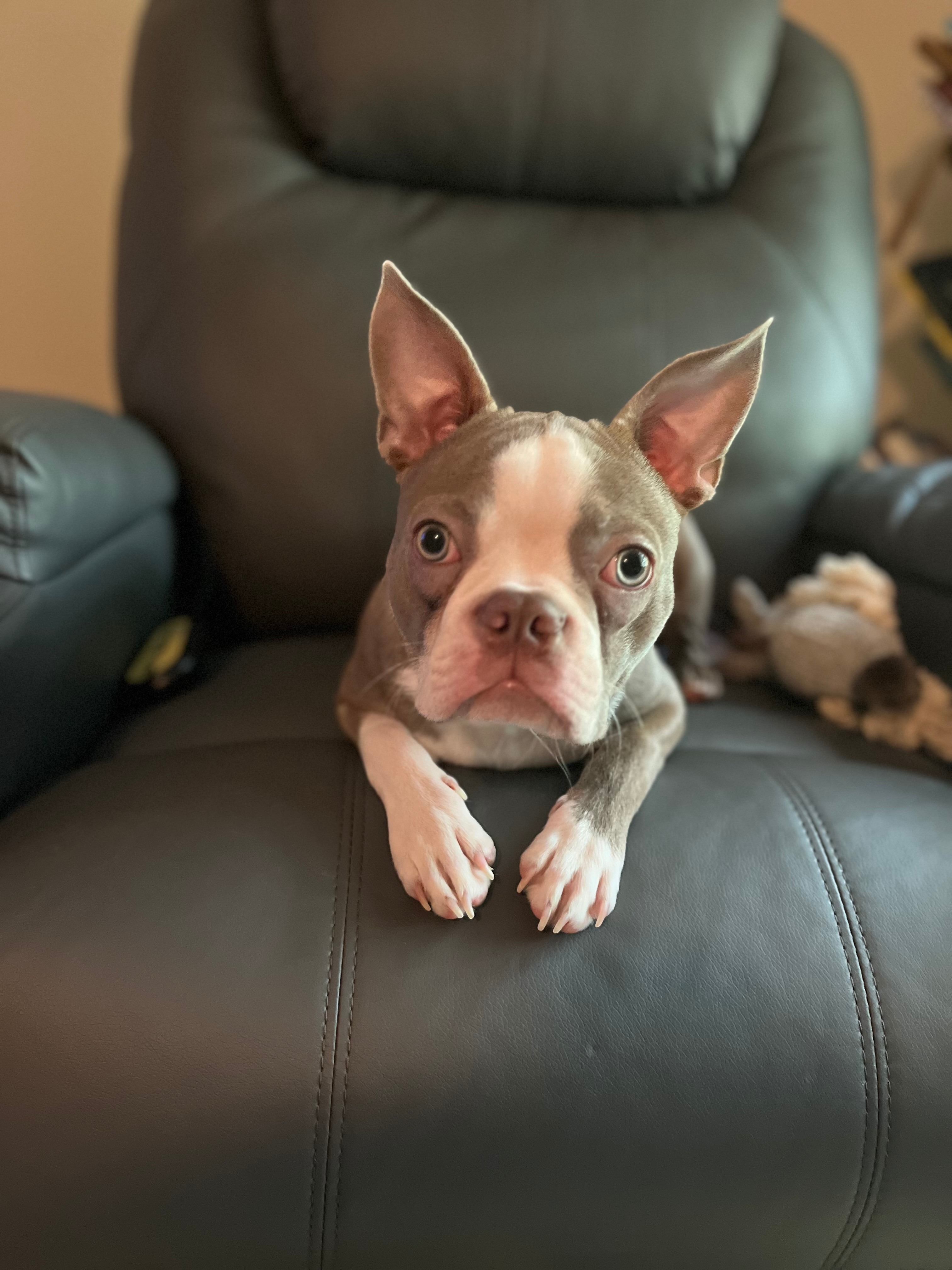 user avatar image for Rosieposie