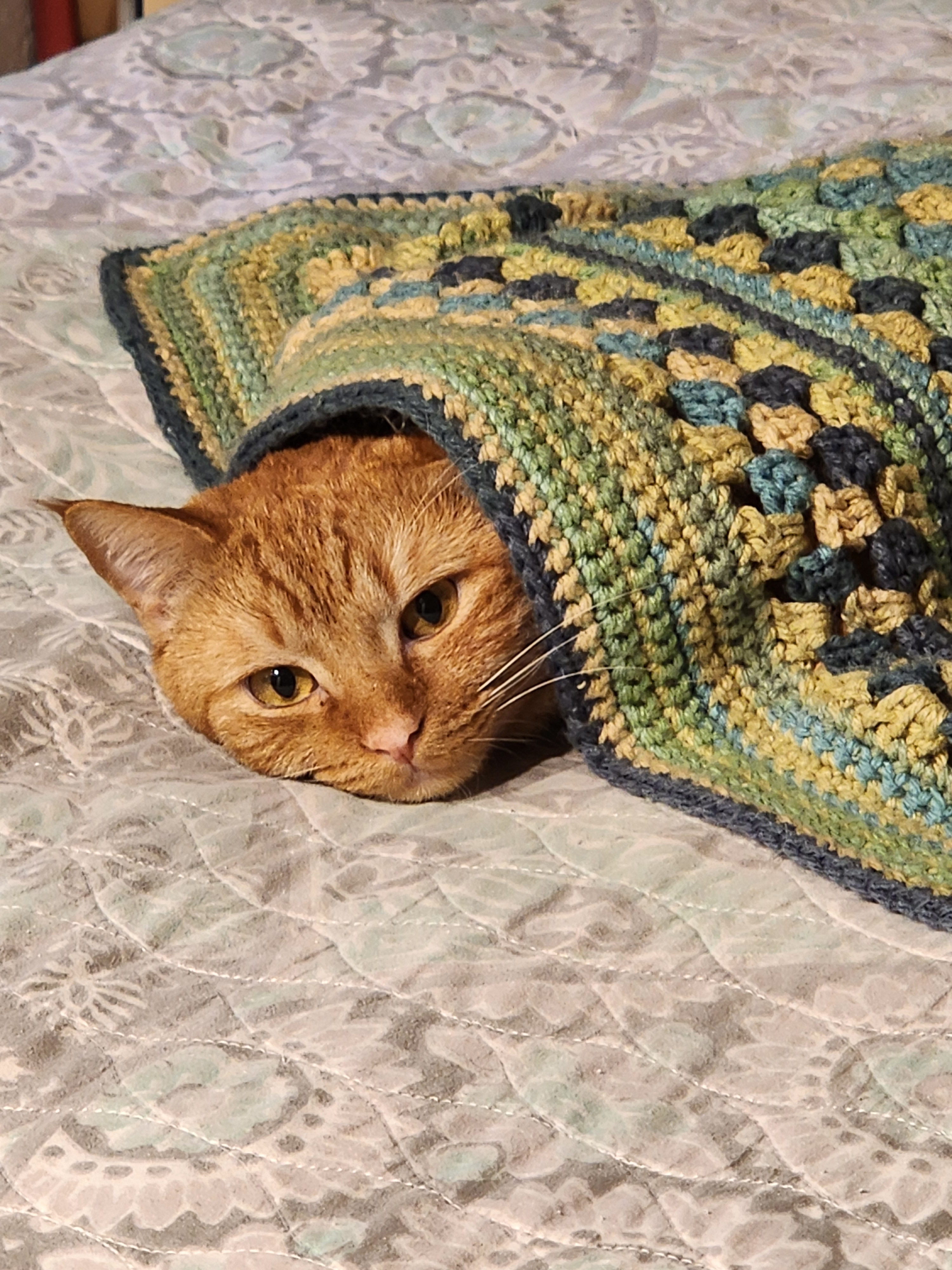 user avatar image for Landrew42