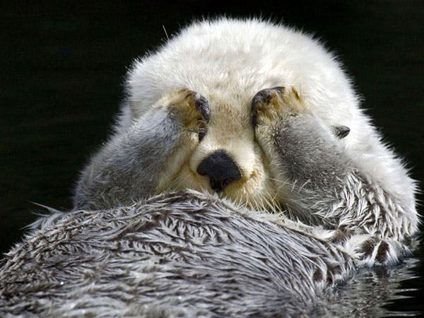 user avatar image for jellie