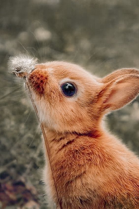 user avatar image for Momo