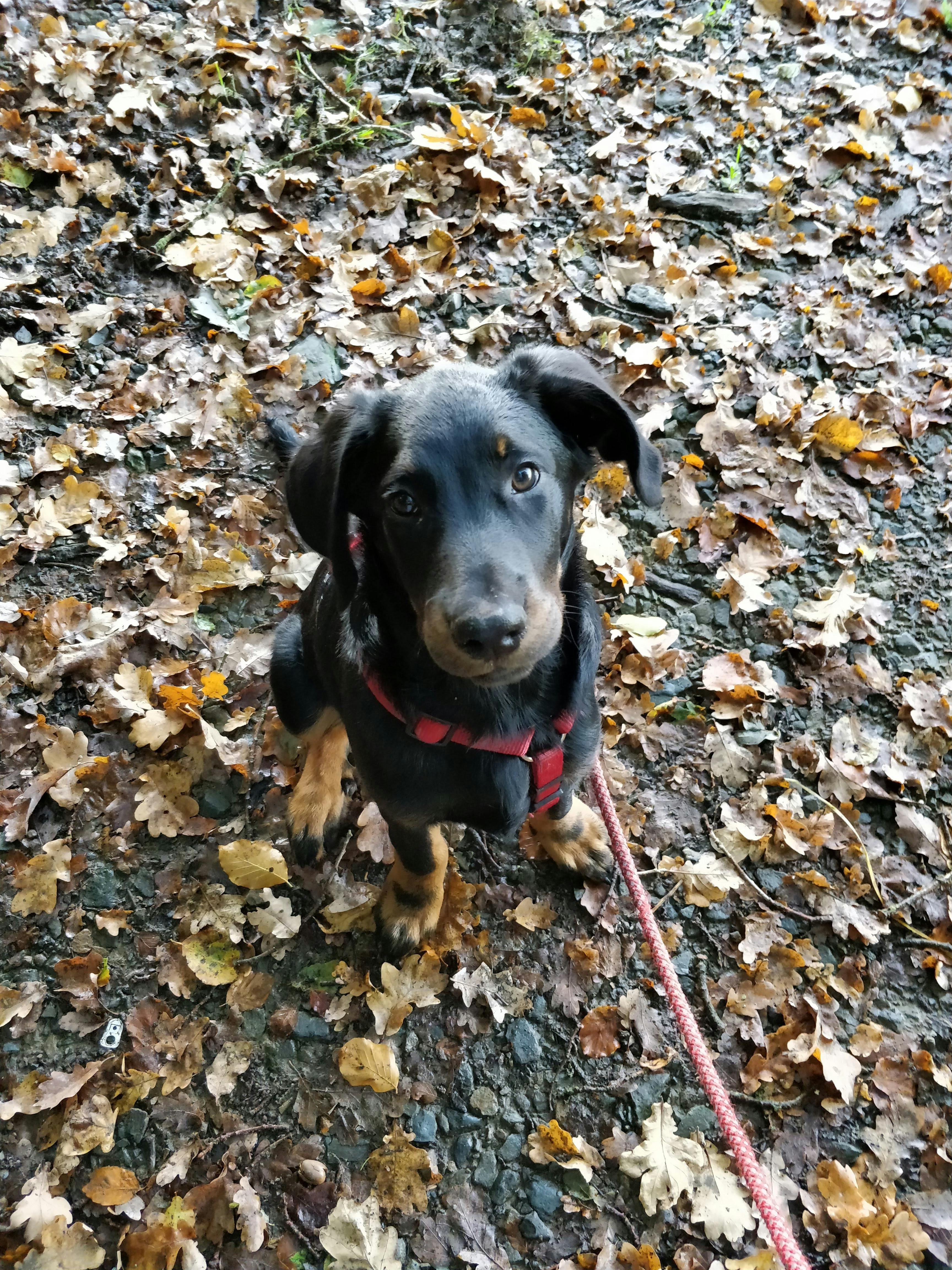 user avatar image for Maerim