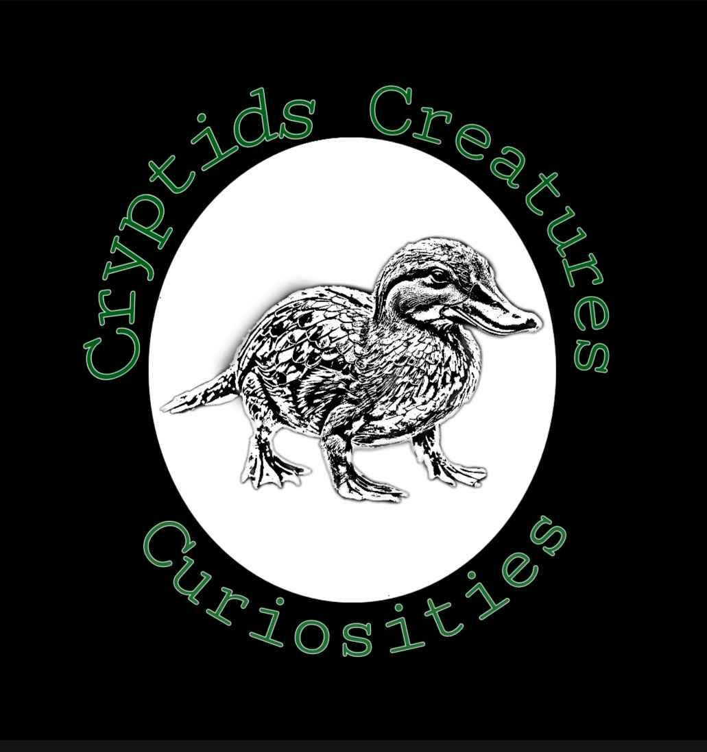 user avatar image for RavenTheVampyrMeister