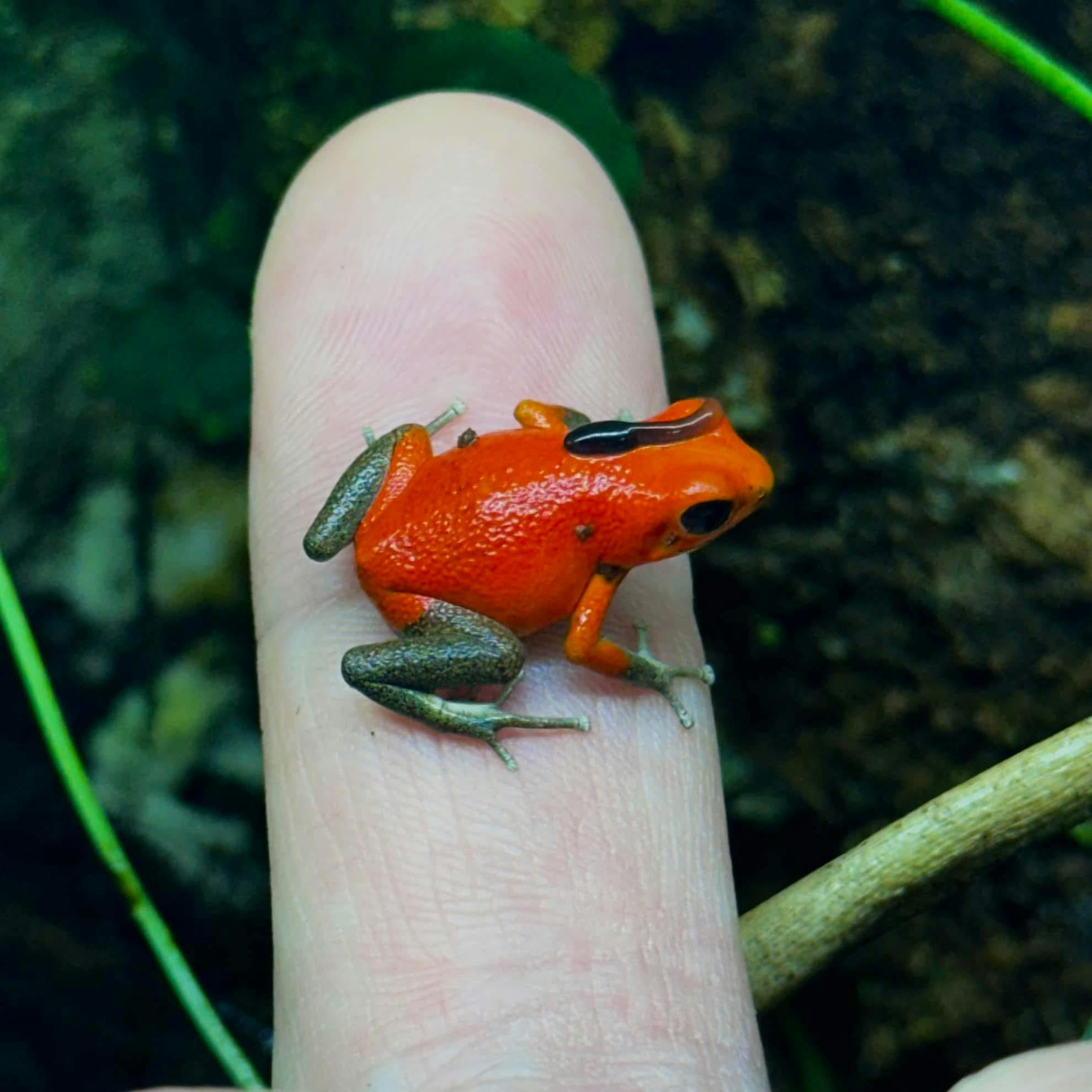 user avatar image for RobC