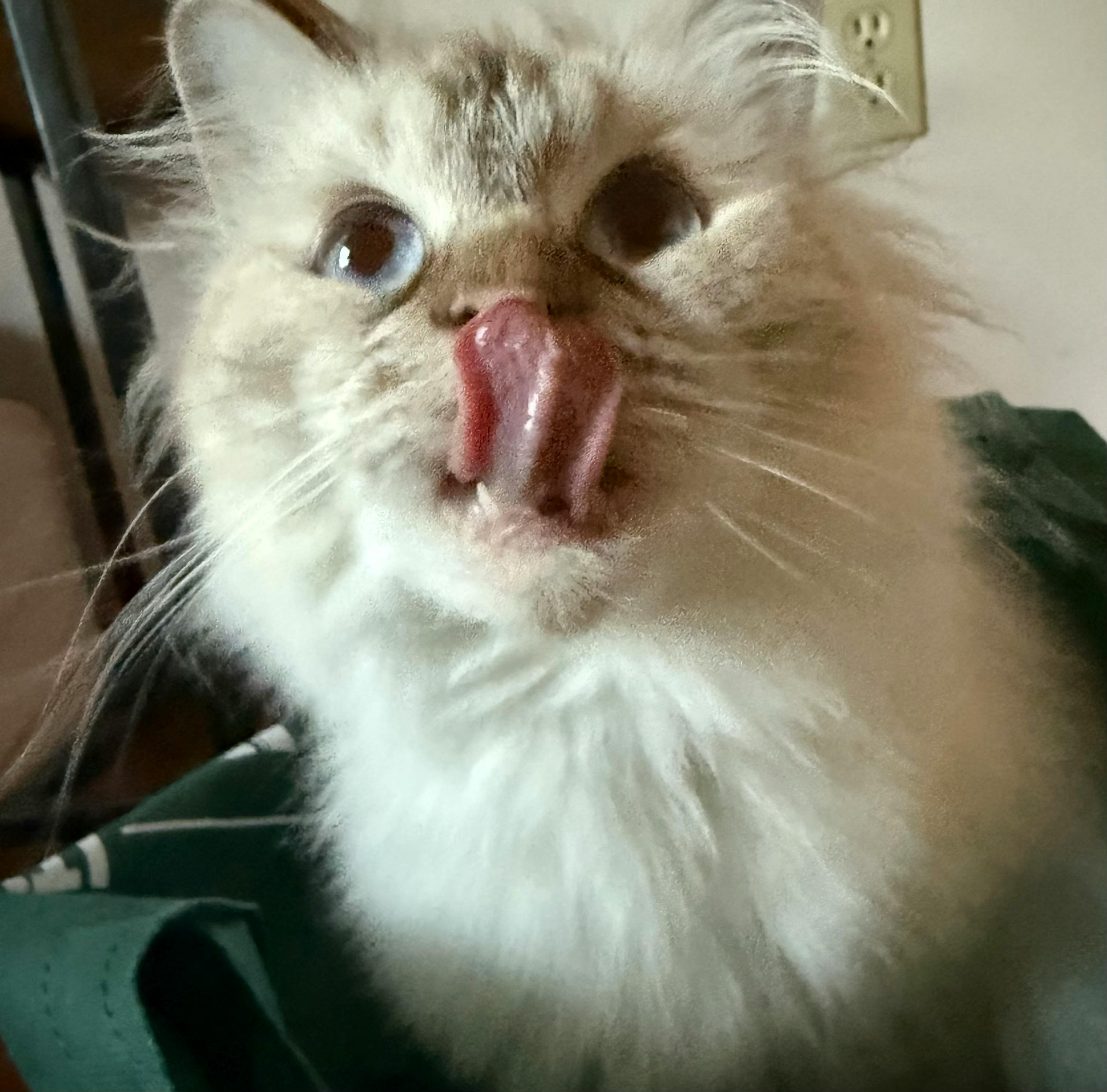 user avatar image for Zeke