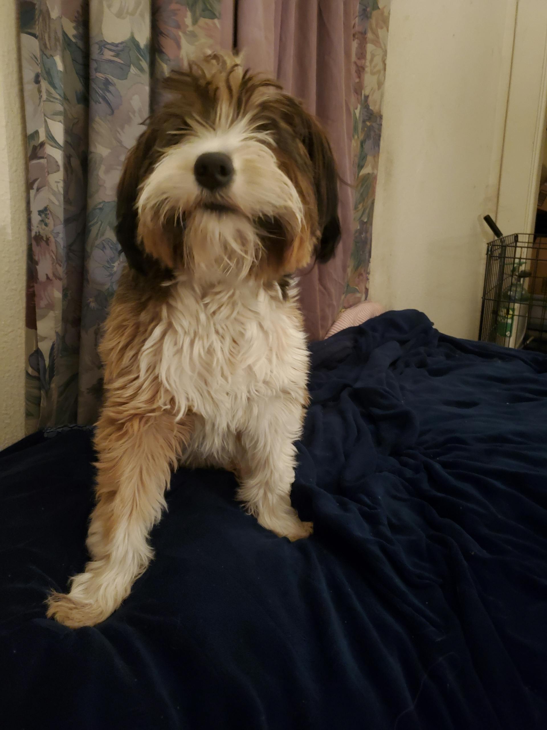 user avatar image for Marc Tegtmeyer