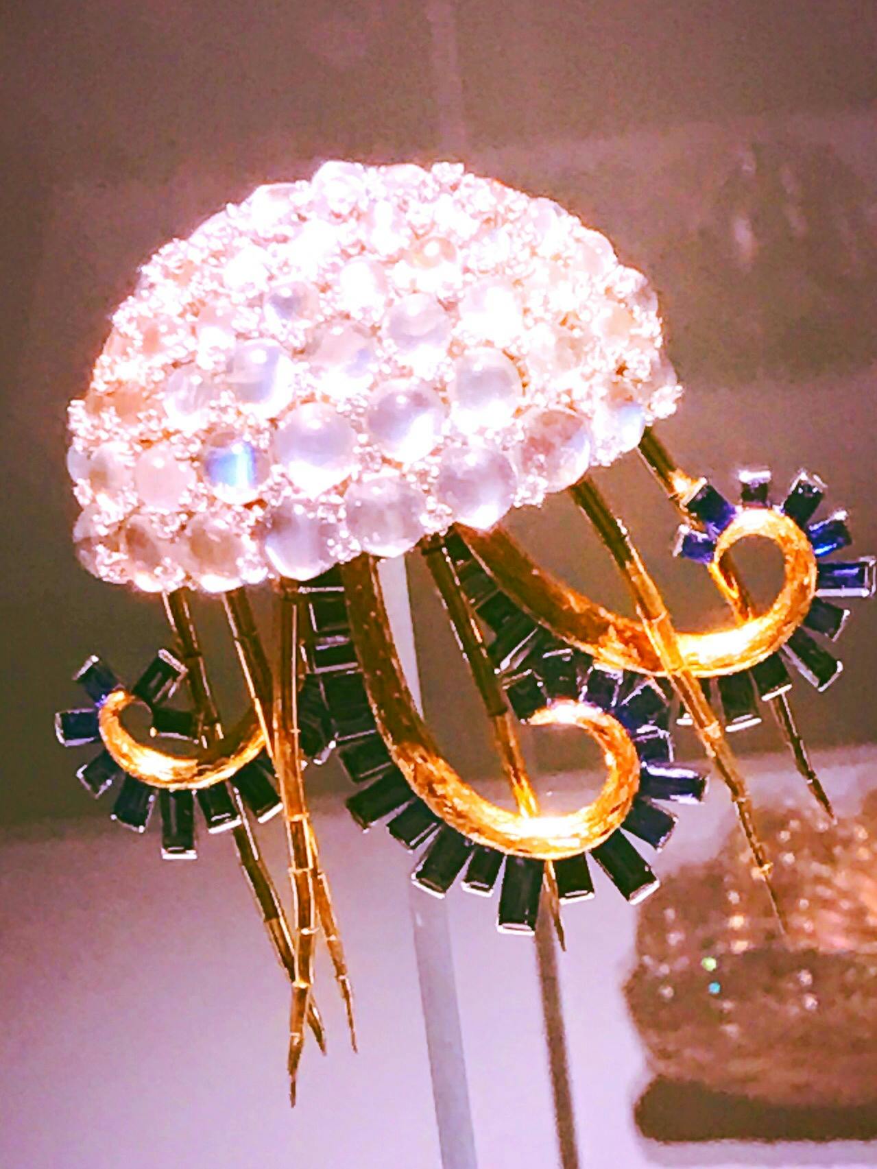 user avatar image for Rachel Arrighi