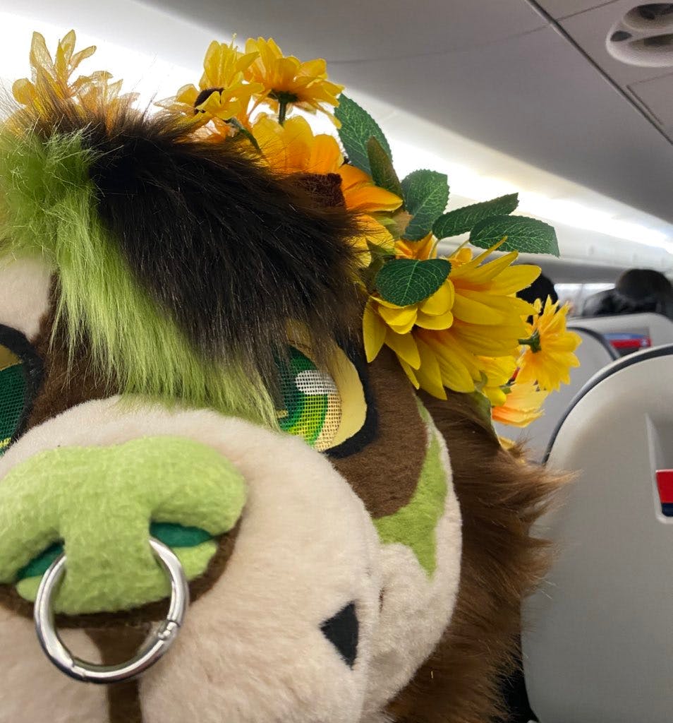 user avatar image for poptabby_