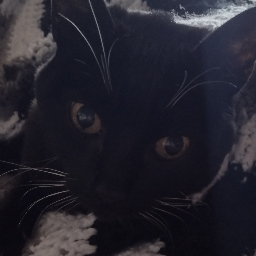 user avatar image for IcedLava