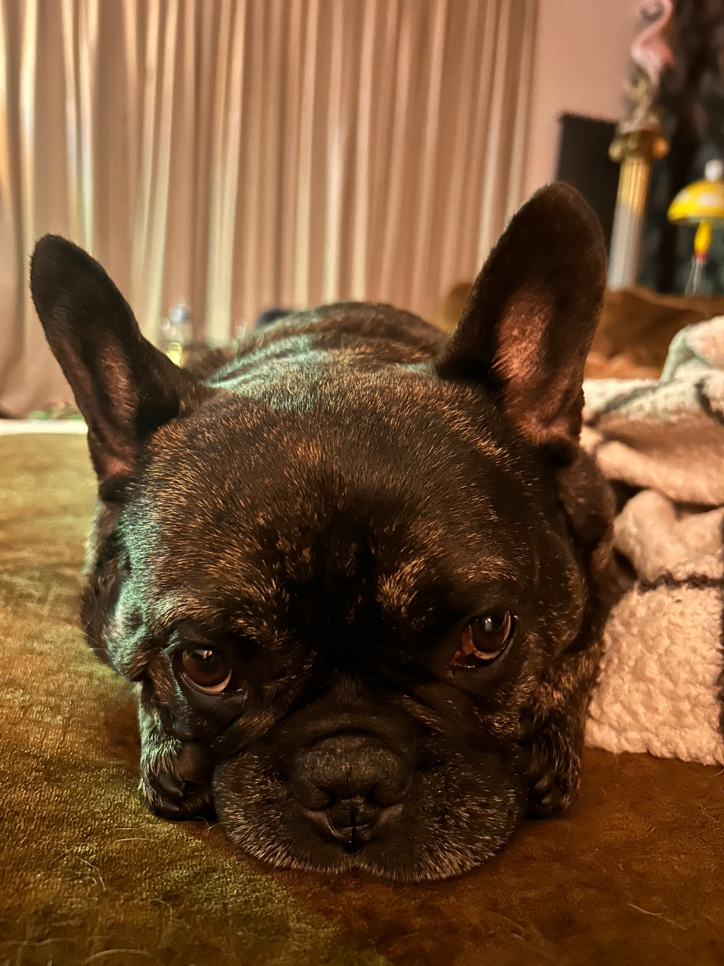 user avatar image for Maaike Beijen