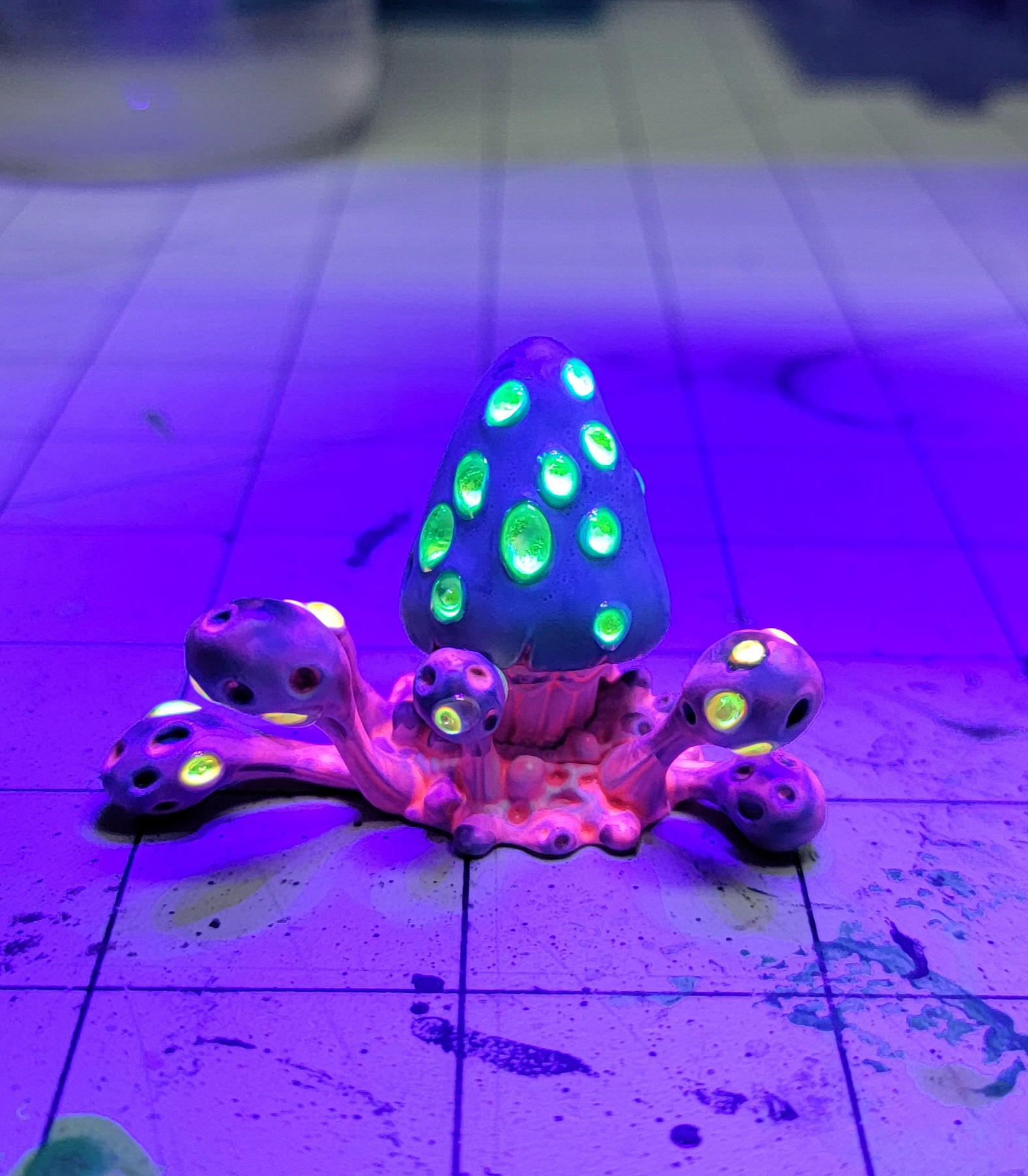 user avatar image for NG31